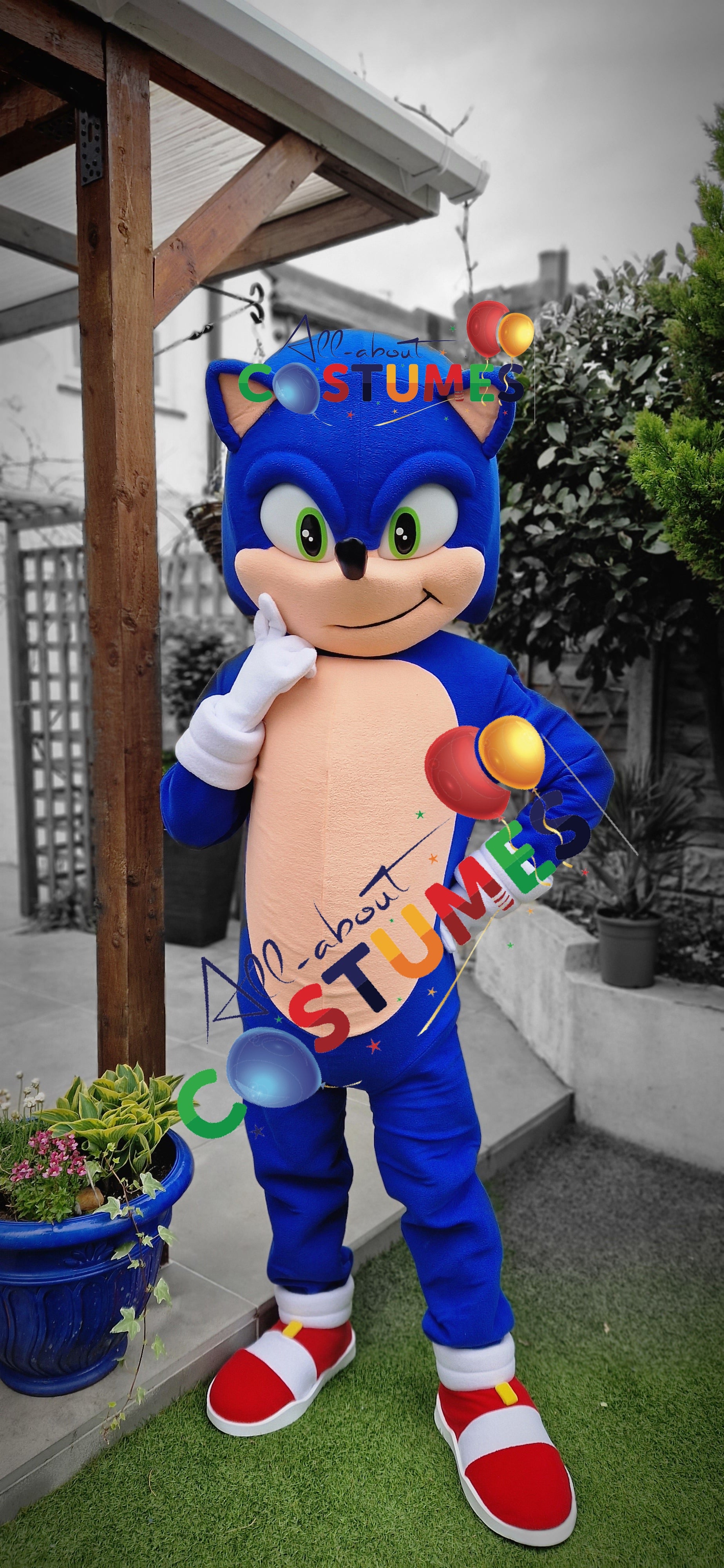 Sonic rápido de lujo