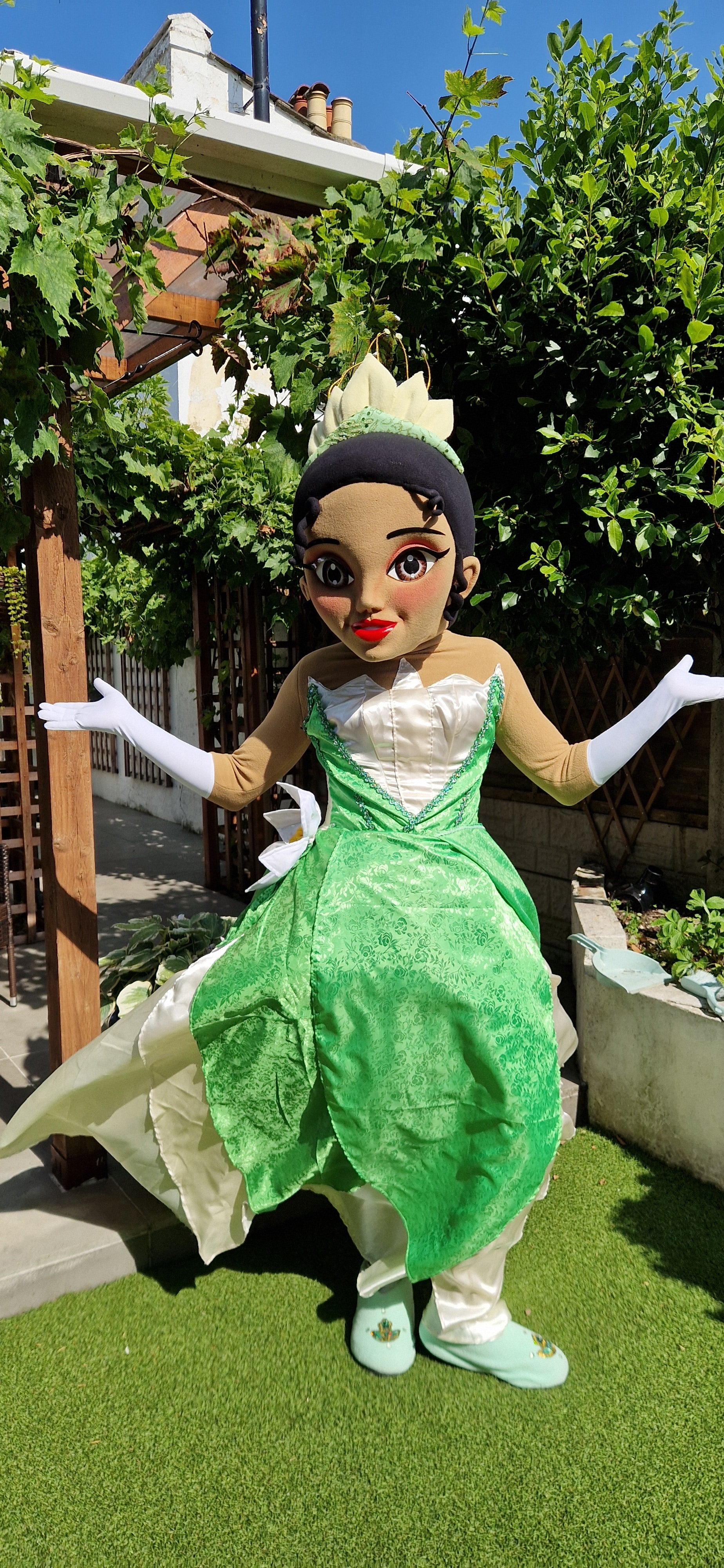 Patrulla Canina Ryder