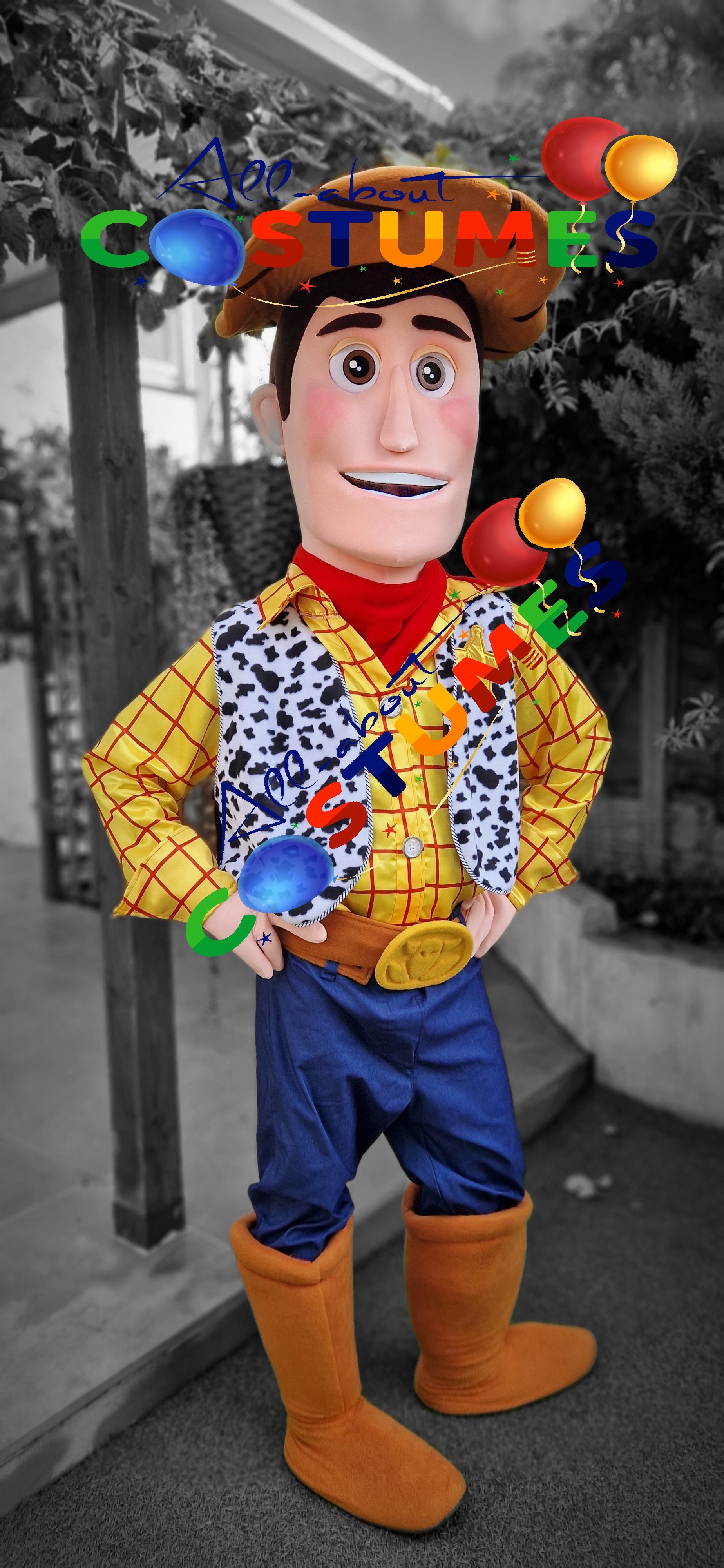 Toy Story Woody