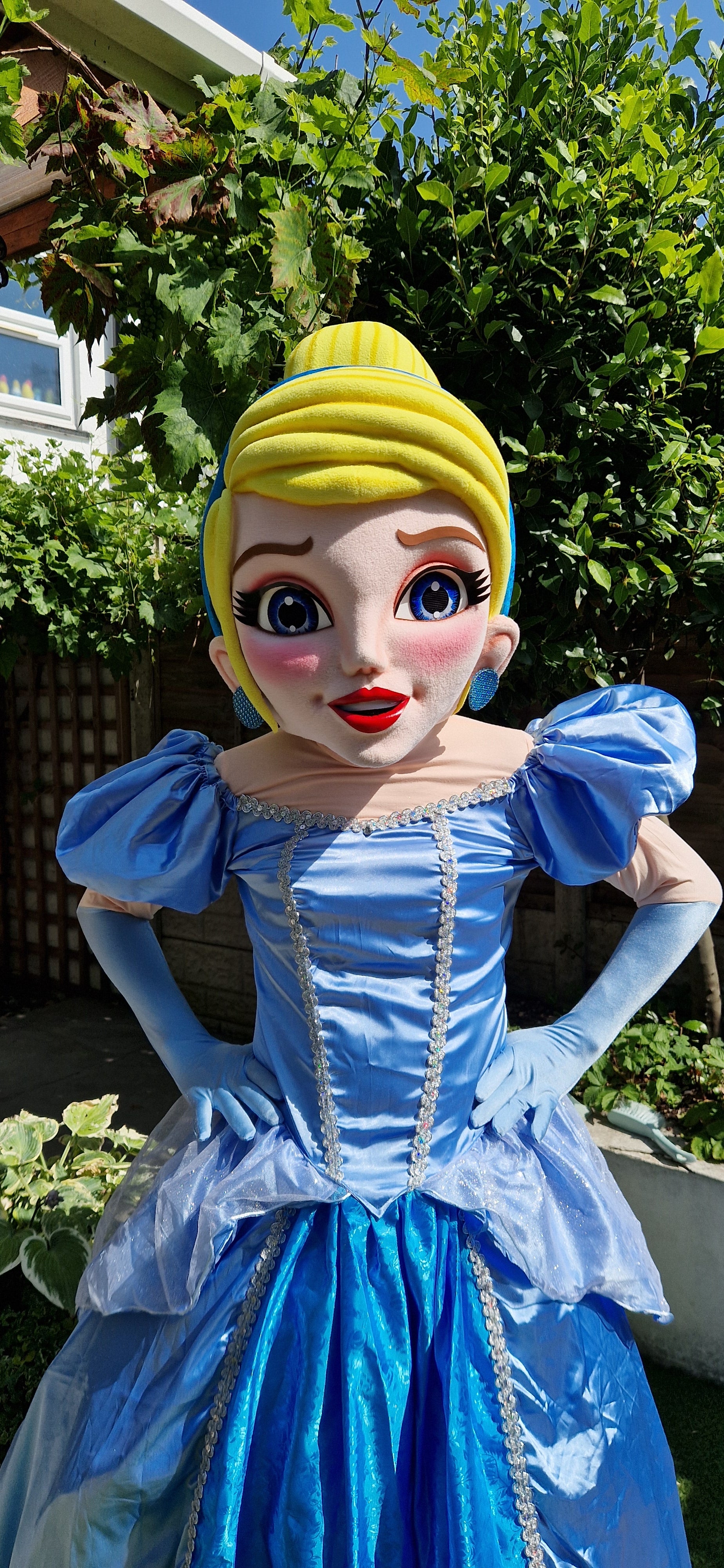 Patrulla Canina Ryder