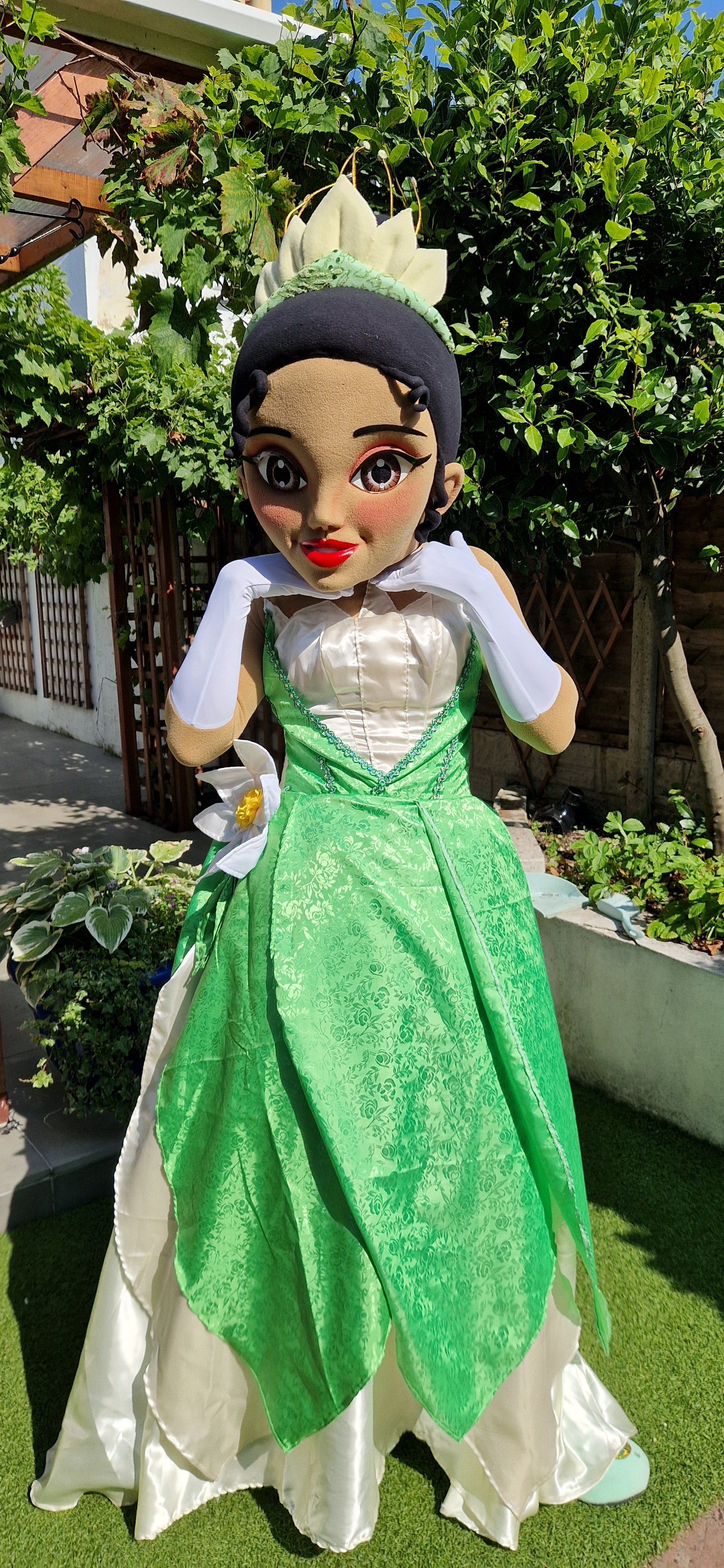 Patrulla Canina Ryder