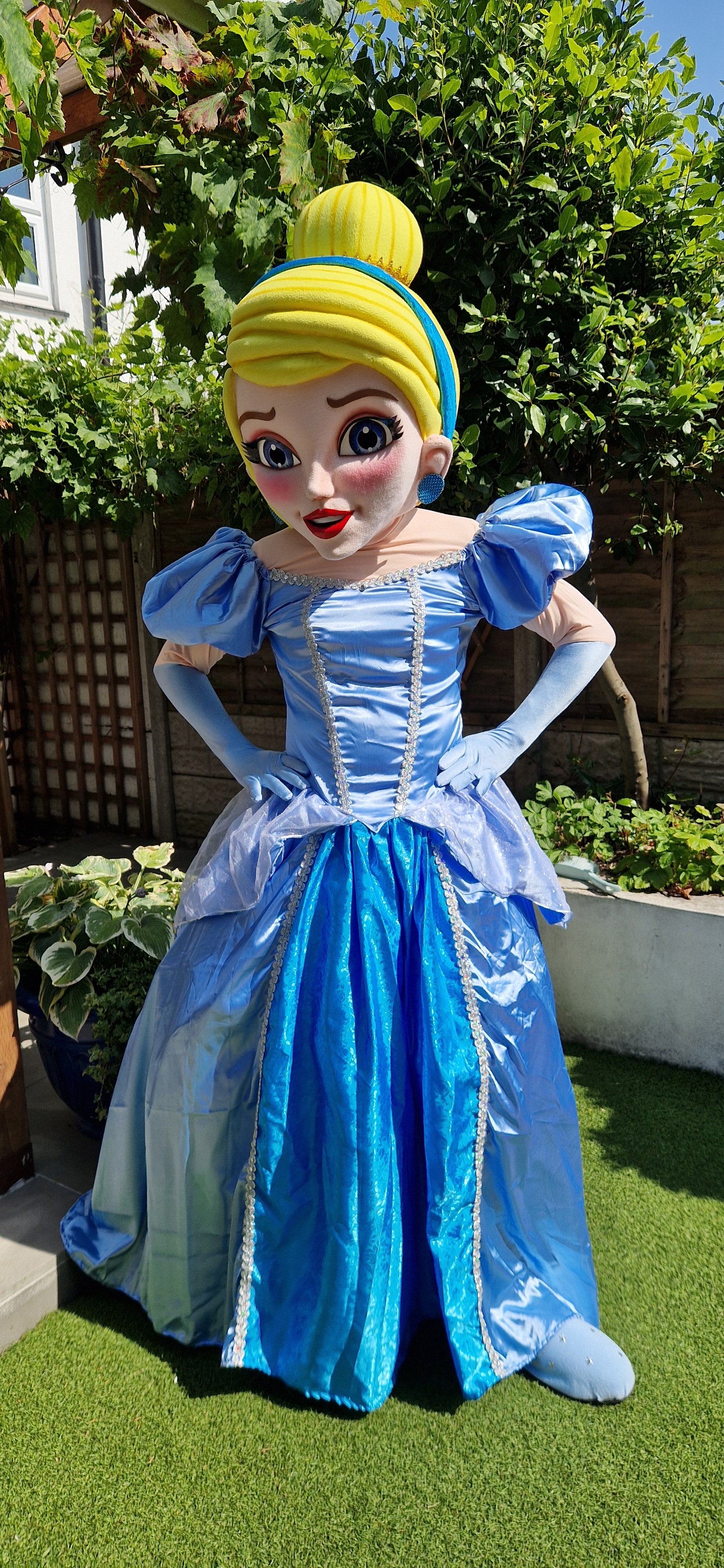 Patrulla Canina Ryder