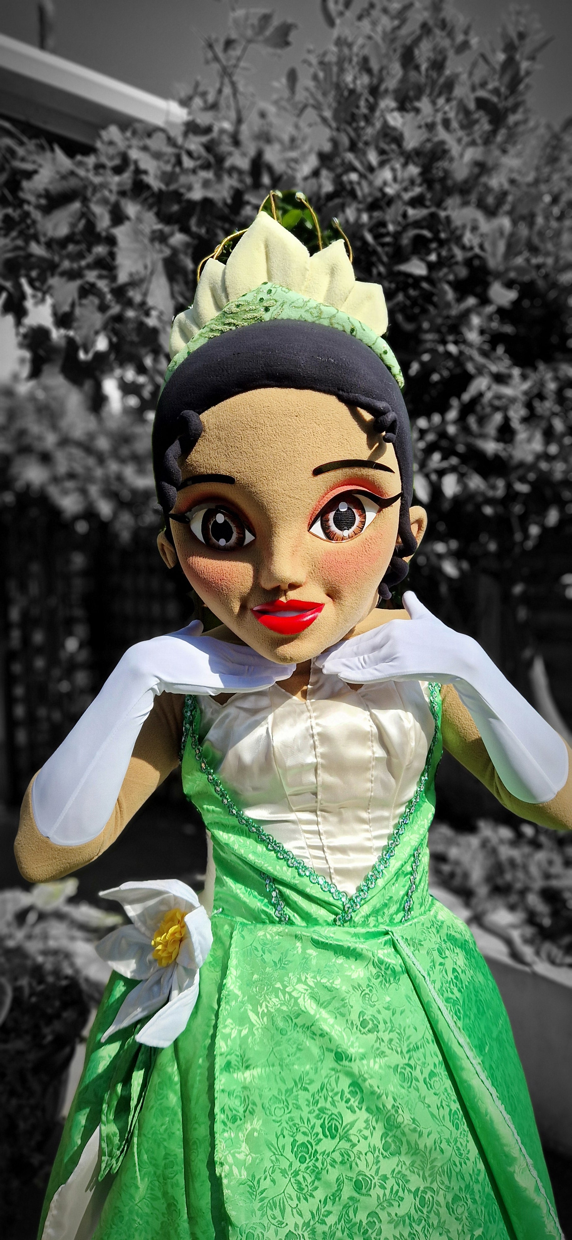 Patrulla Canina Ryder