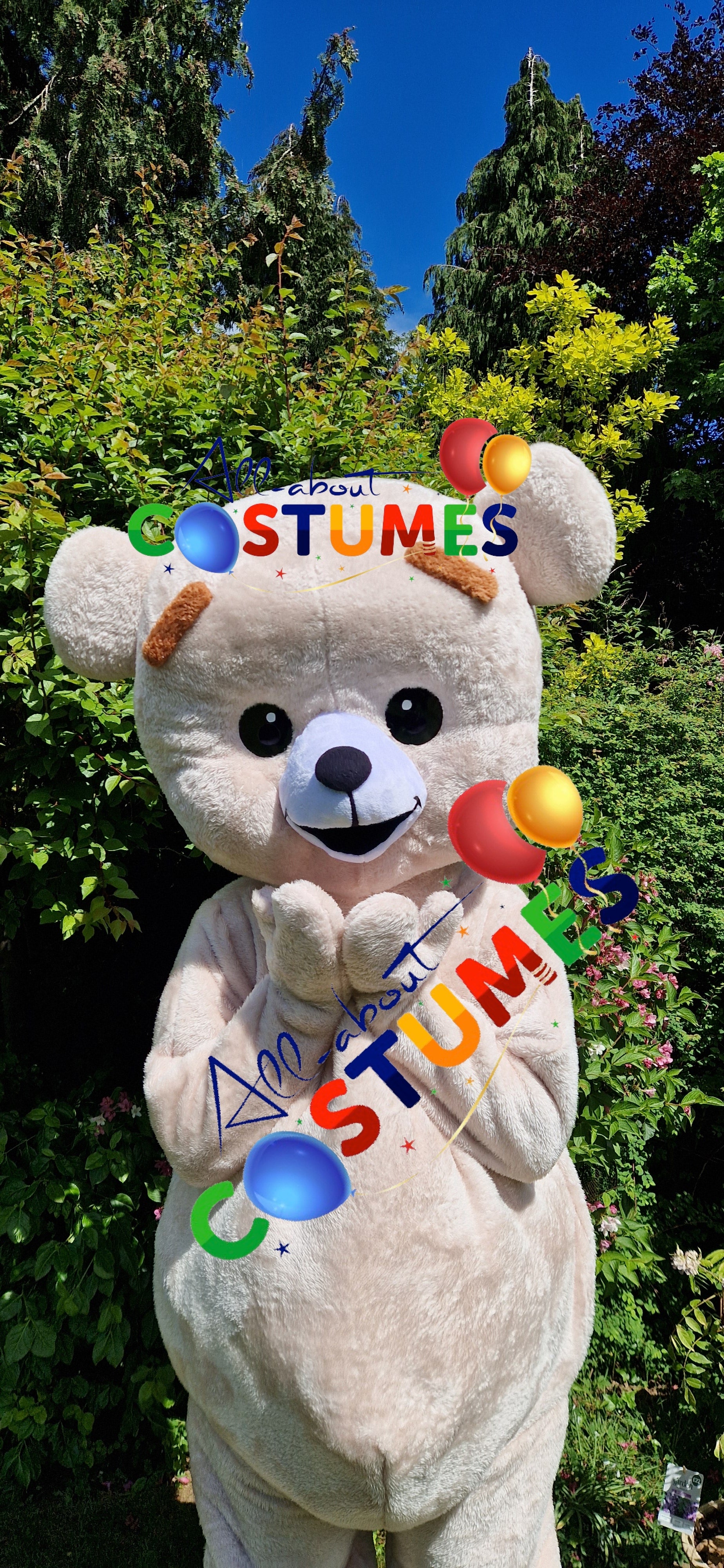 Premium Teddy Bear