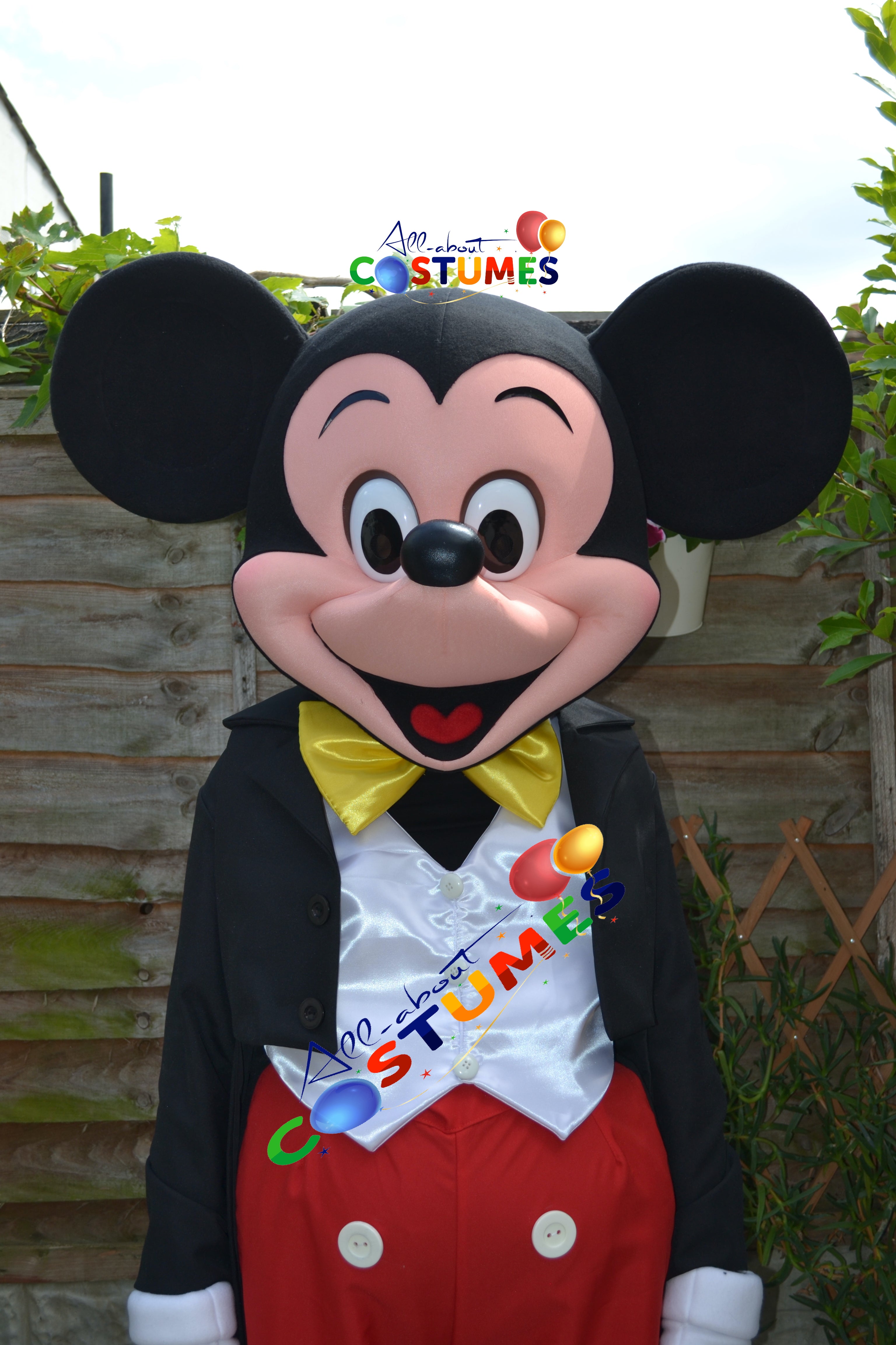 Mickey Mouse Costume