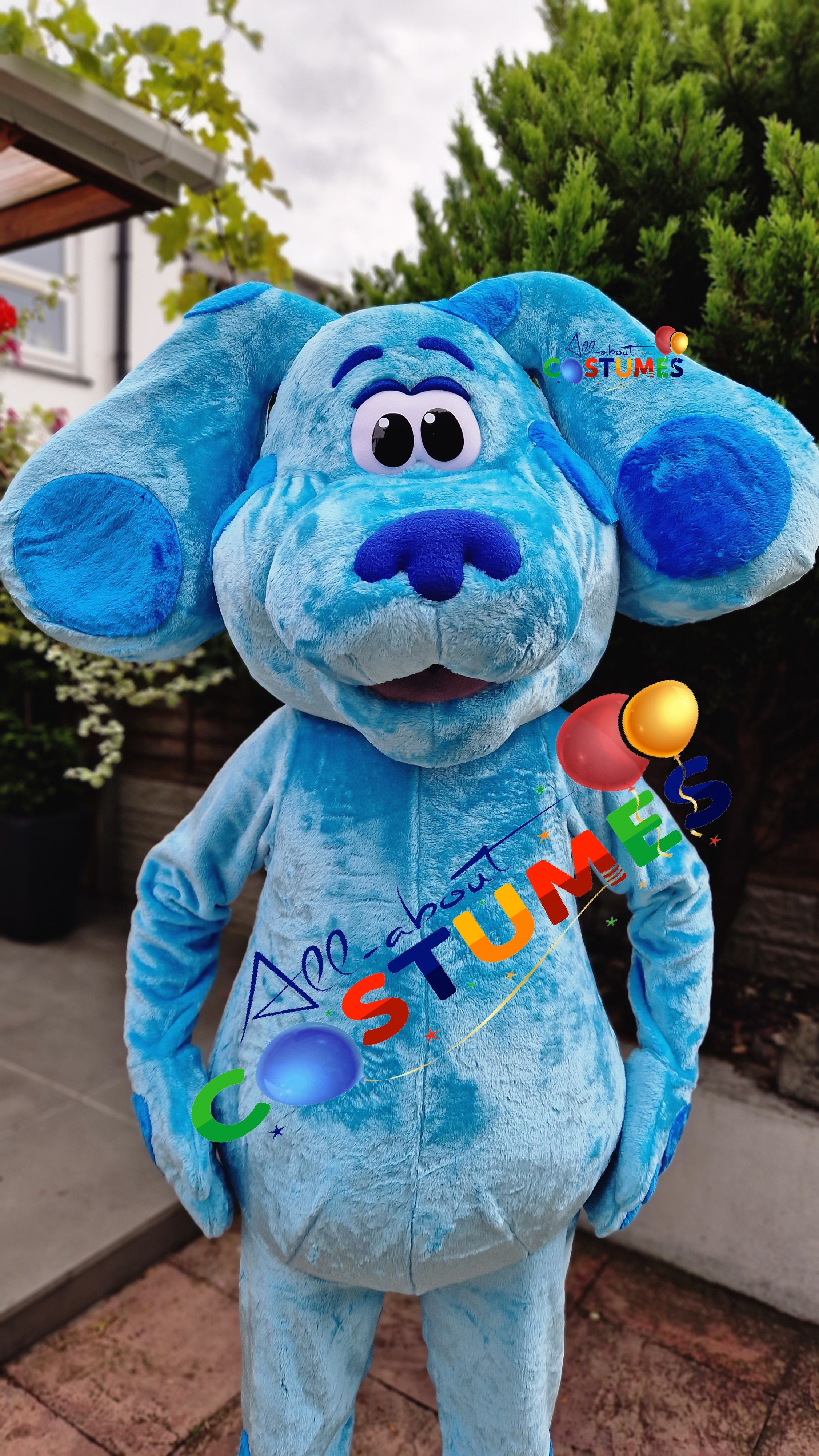 Blue's Clues and You