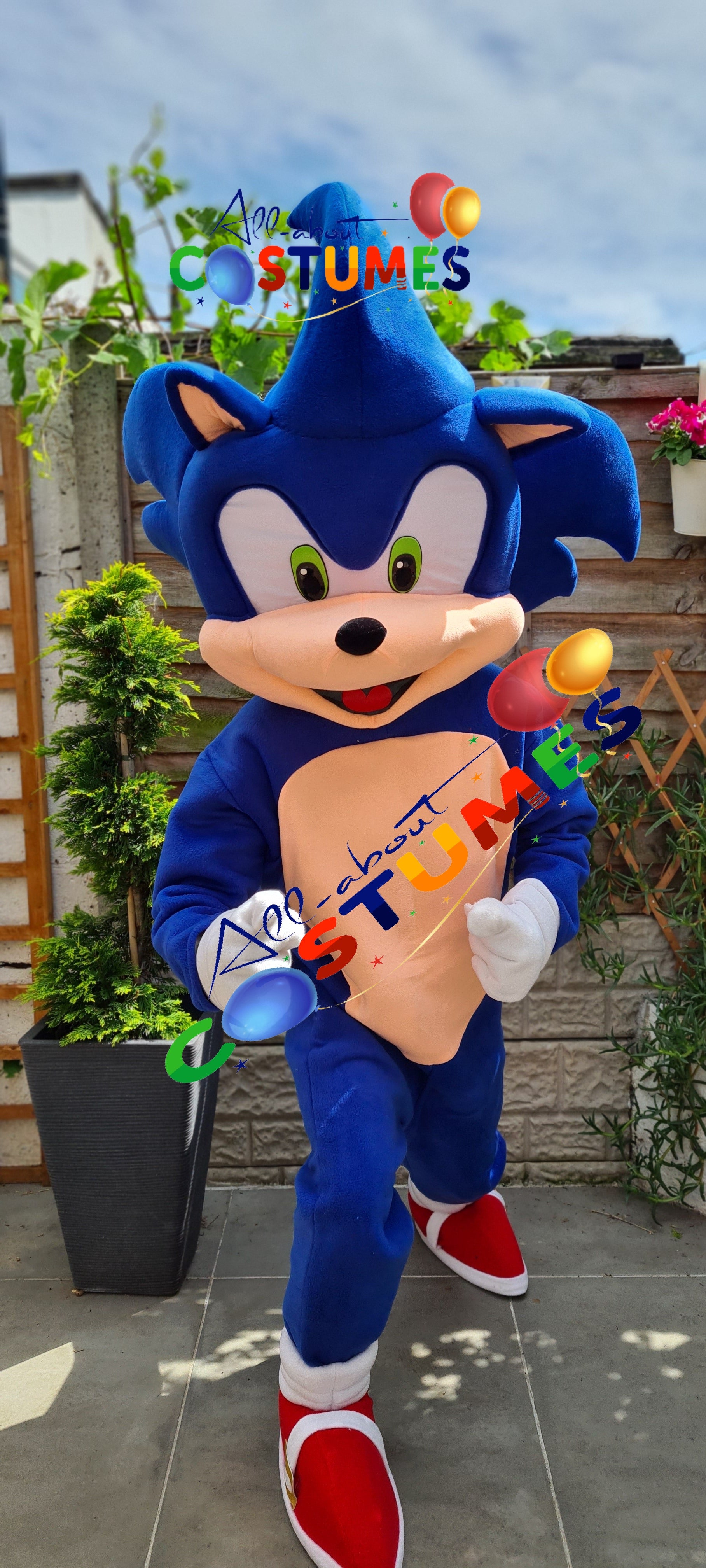 Sonic el erizo