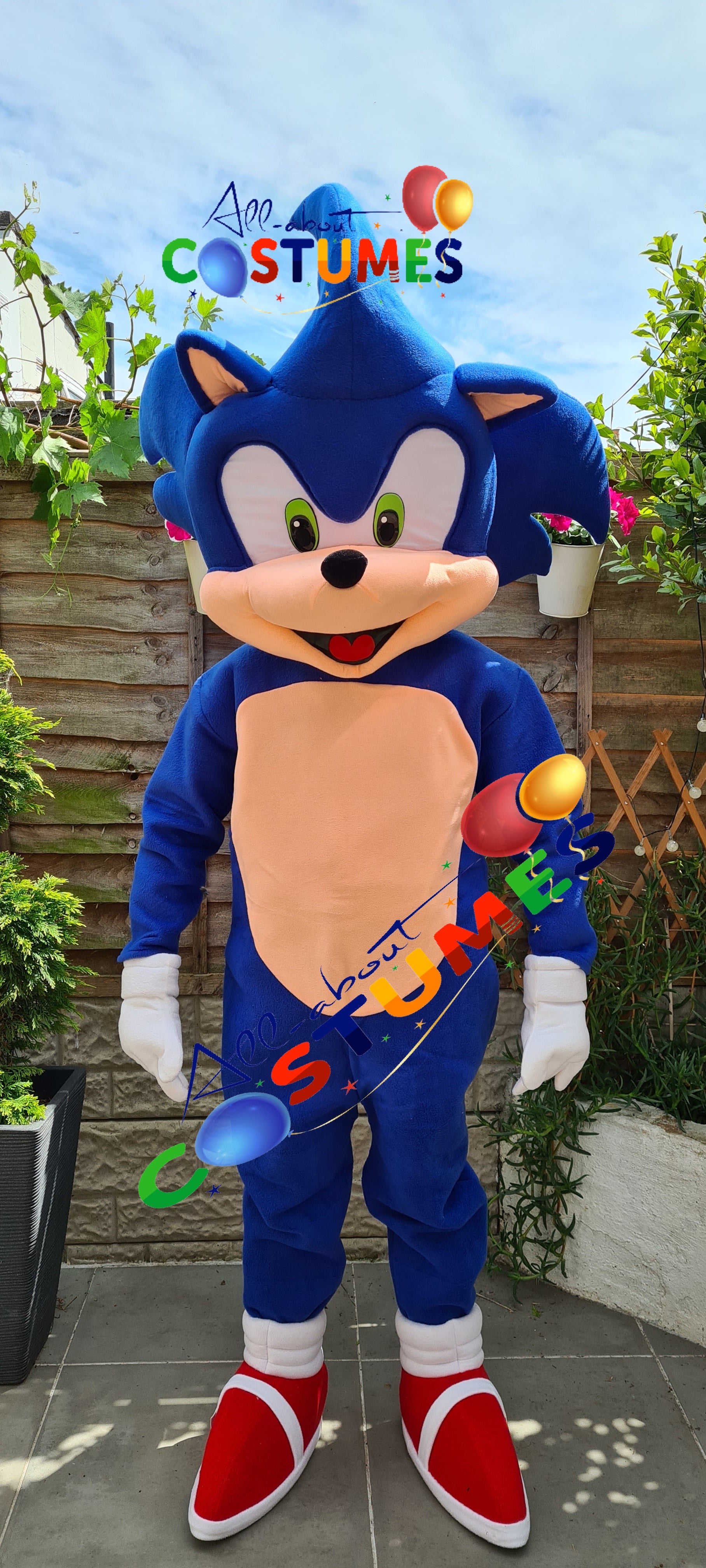 Sonic el erizo
