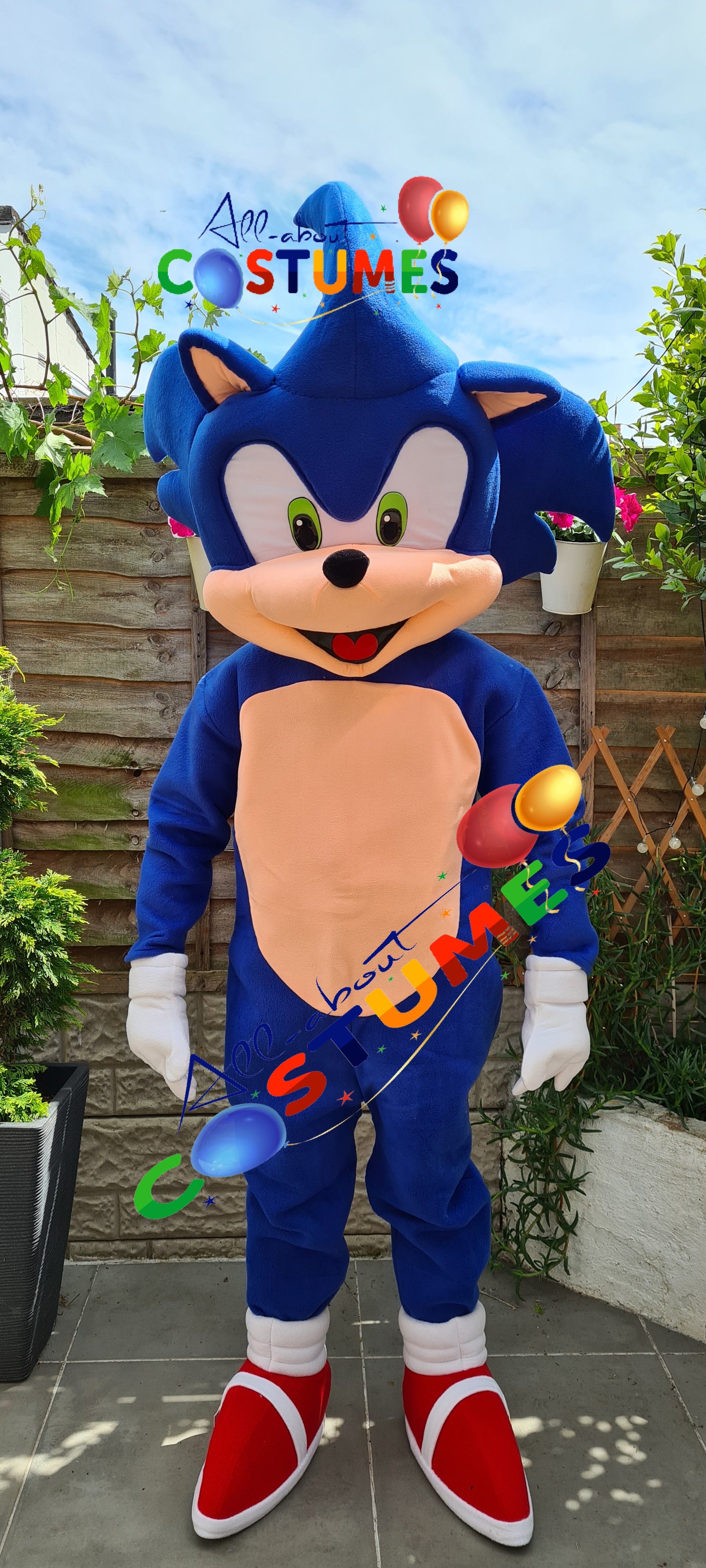 Sonic el erizo