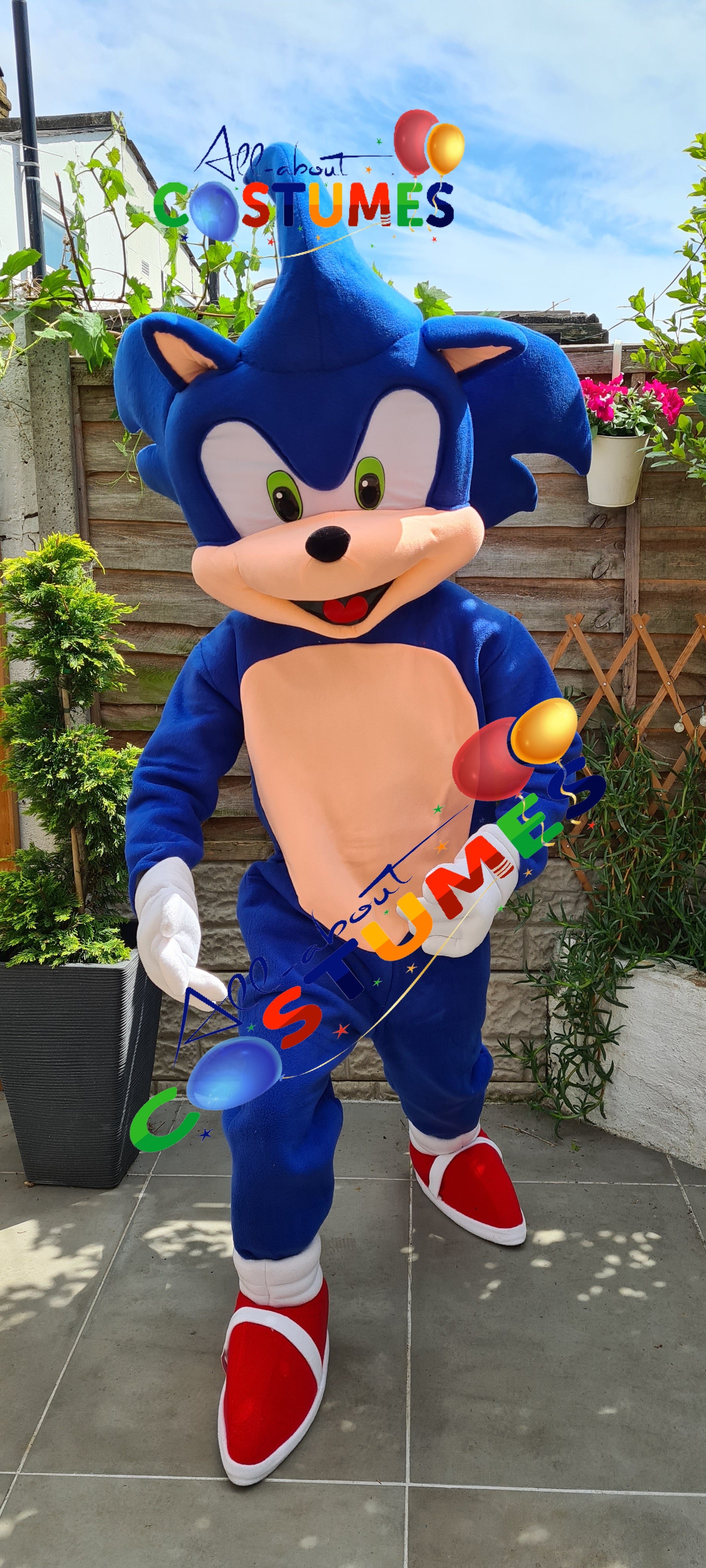 Sonic el erizo