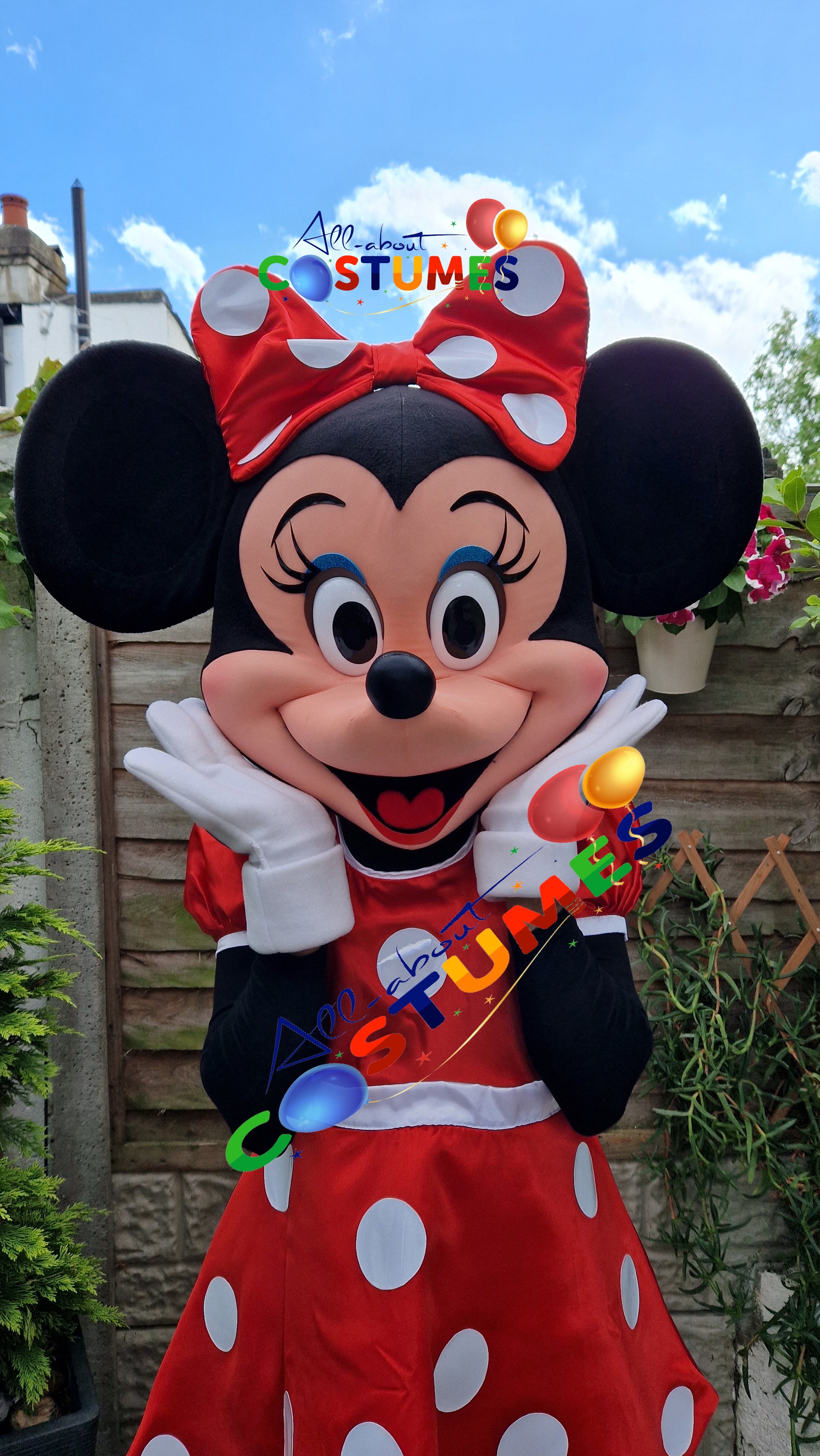 Disfraz de Minnie Mouse