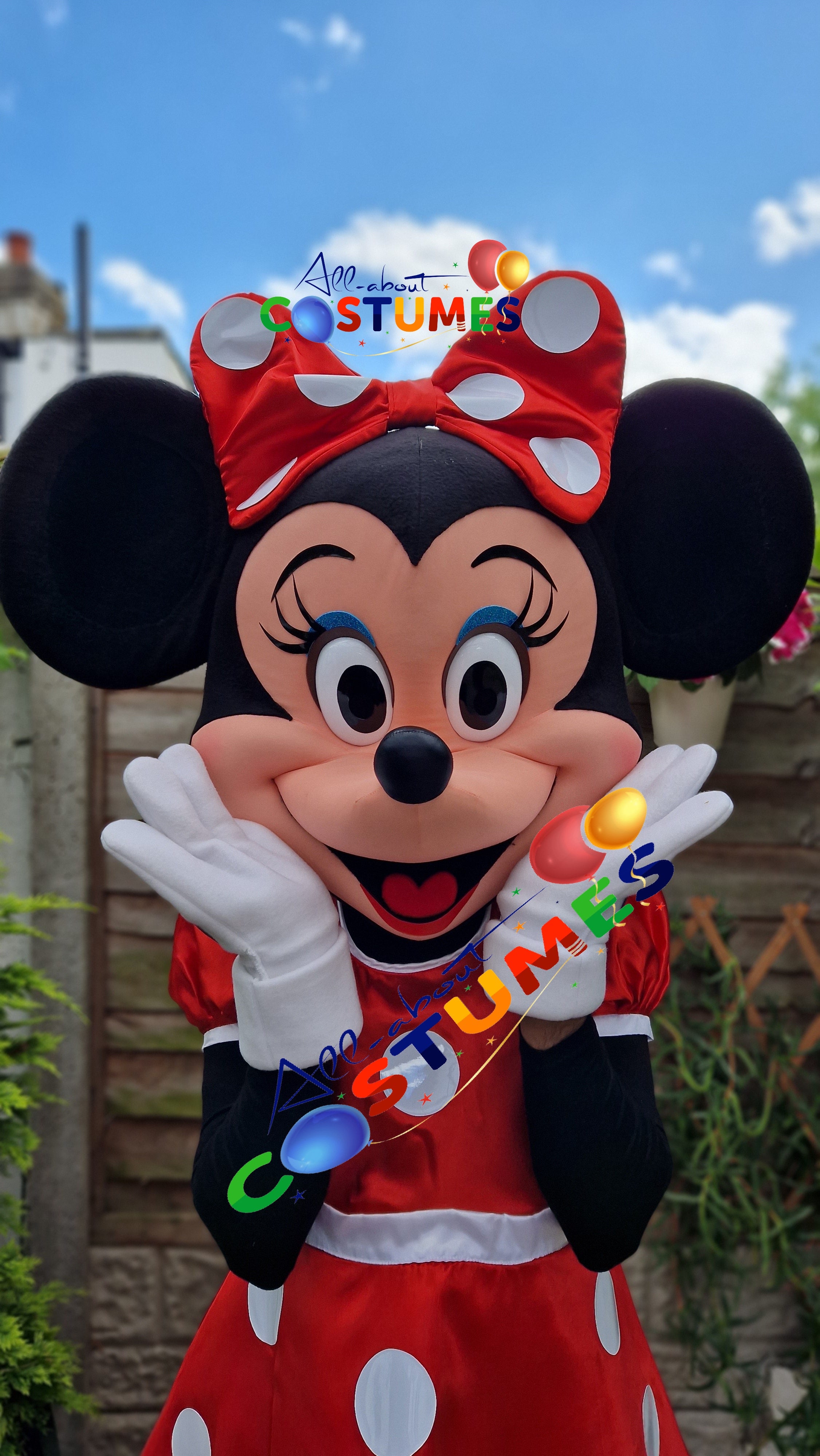 Disfraz de Minnie Mouse