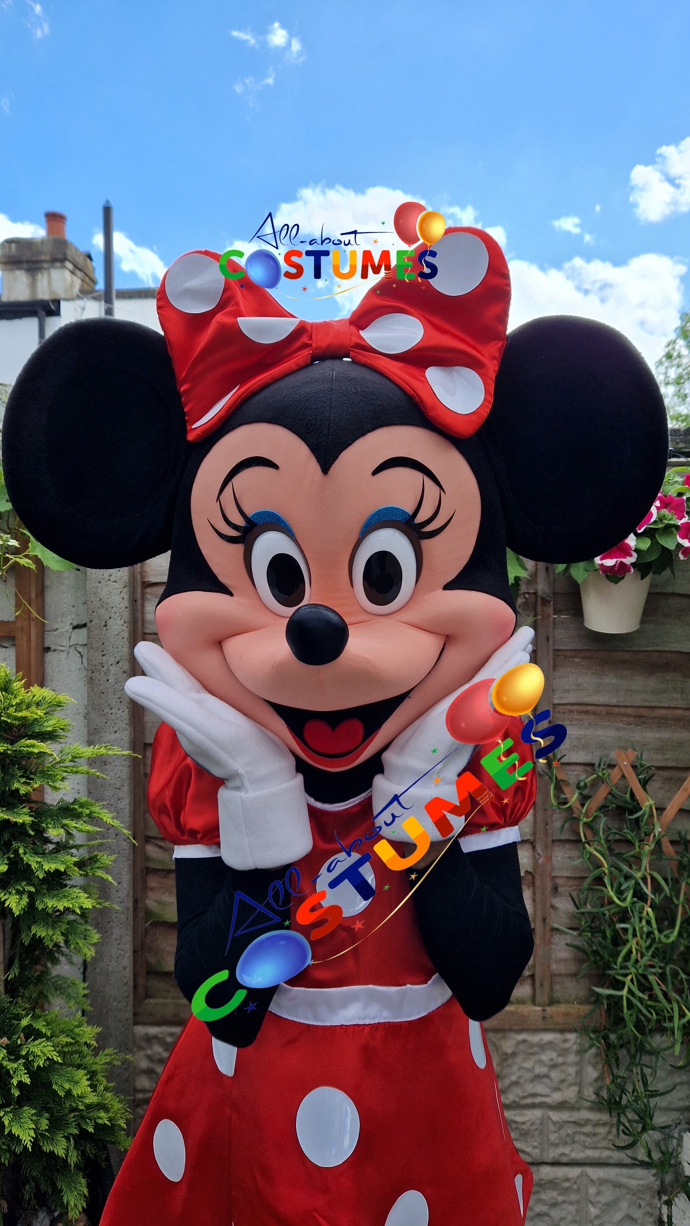 Disfraz de Minnie Mouse