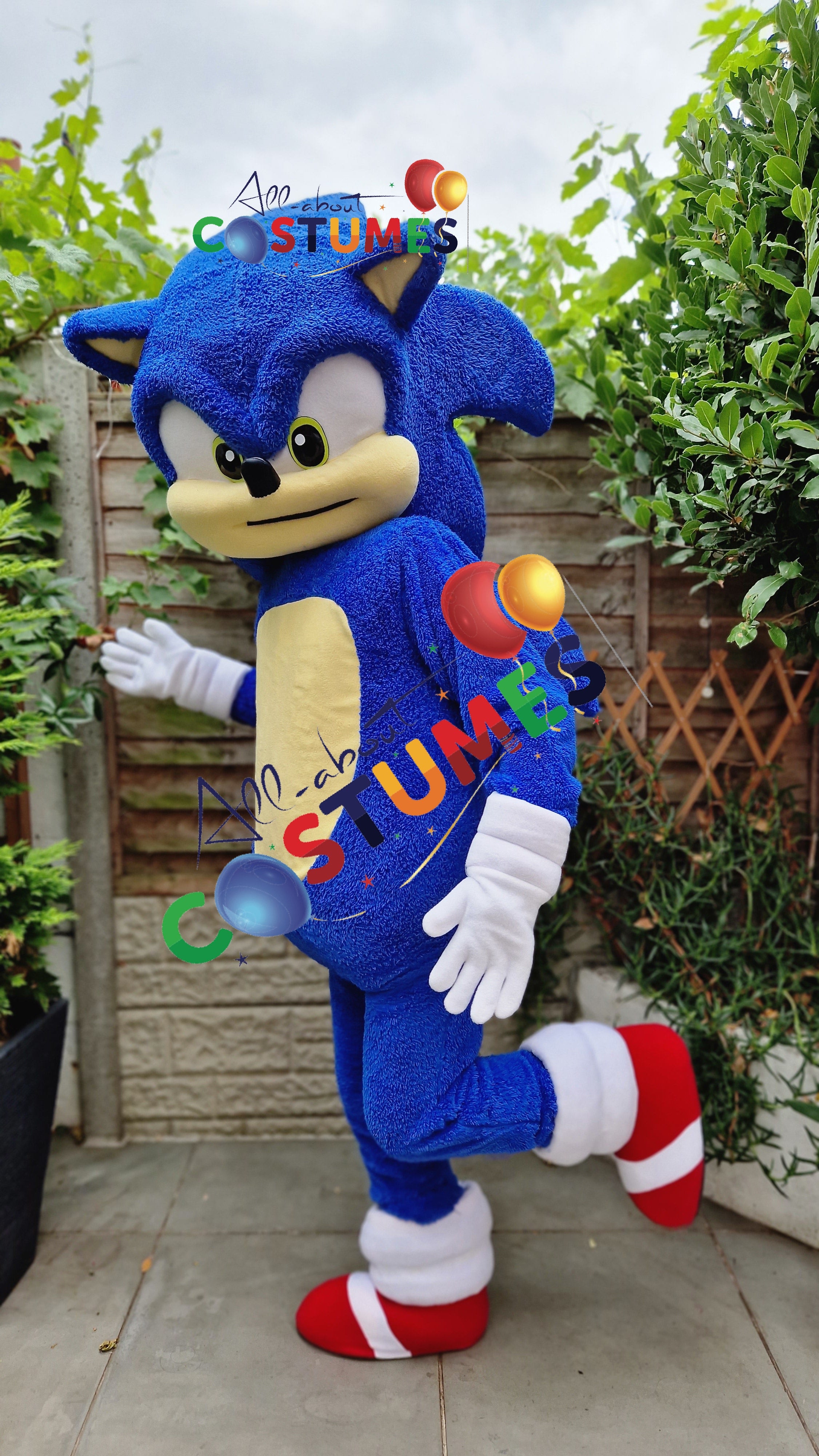 Sonic el erizo Edición limitada