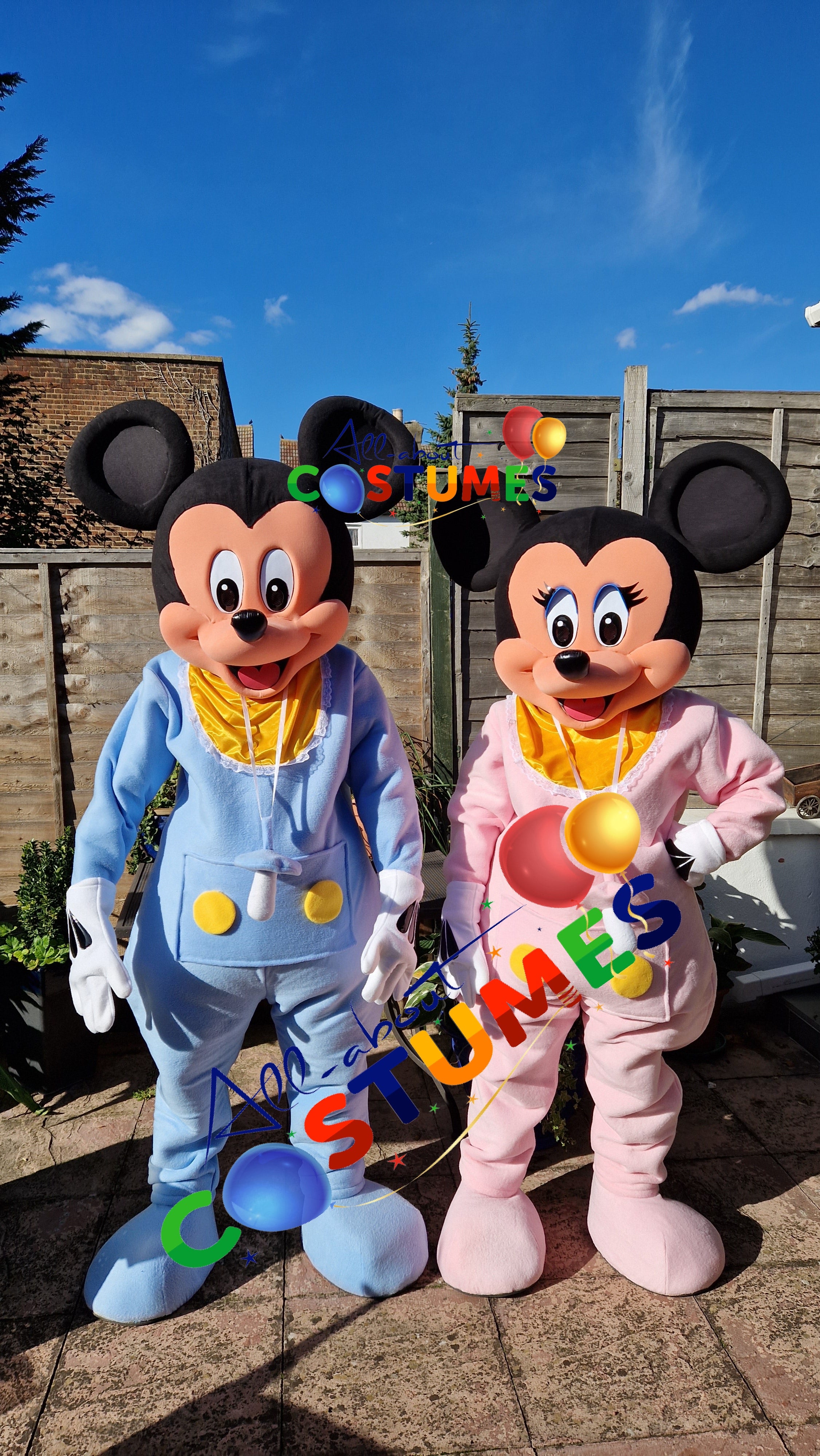 SAB Mickey y Minnie REVELACIÓN DE GÉNERO