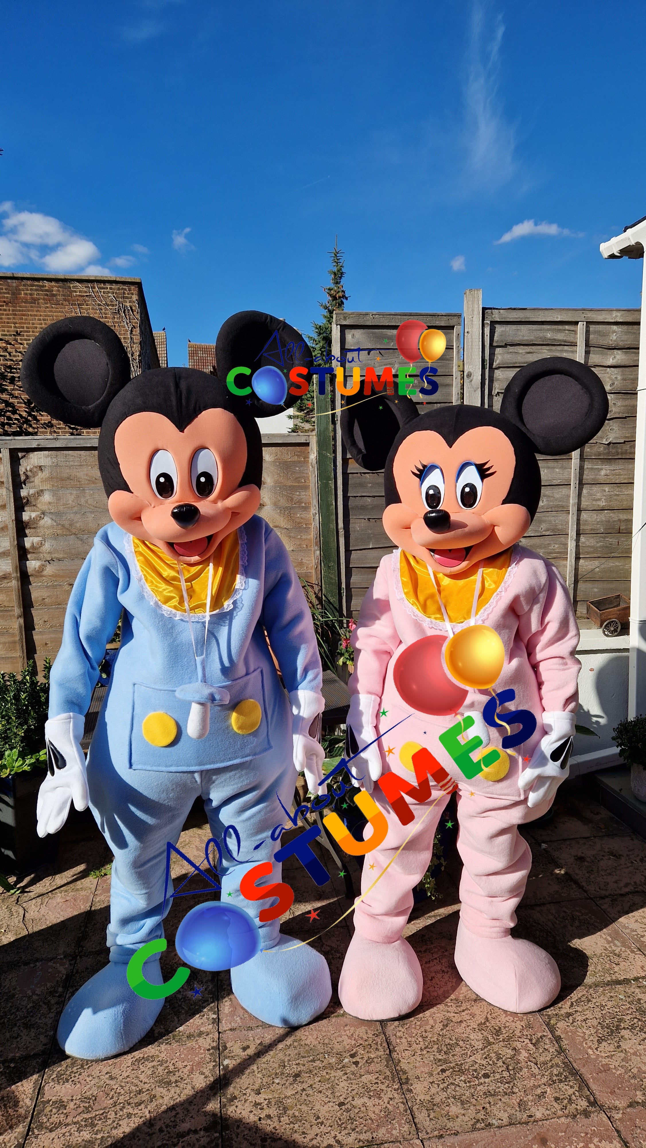 SAB Mickey y Minnie REVELACIÓN DE GÉNERO