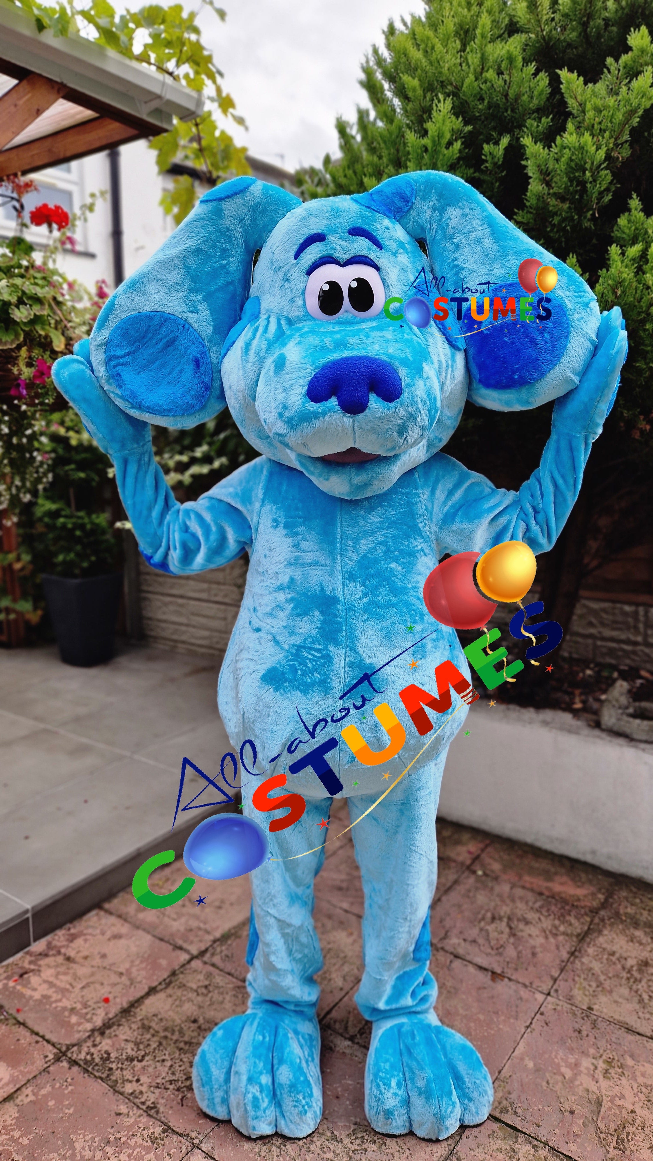 Blue's Clues and You