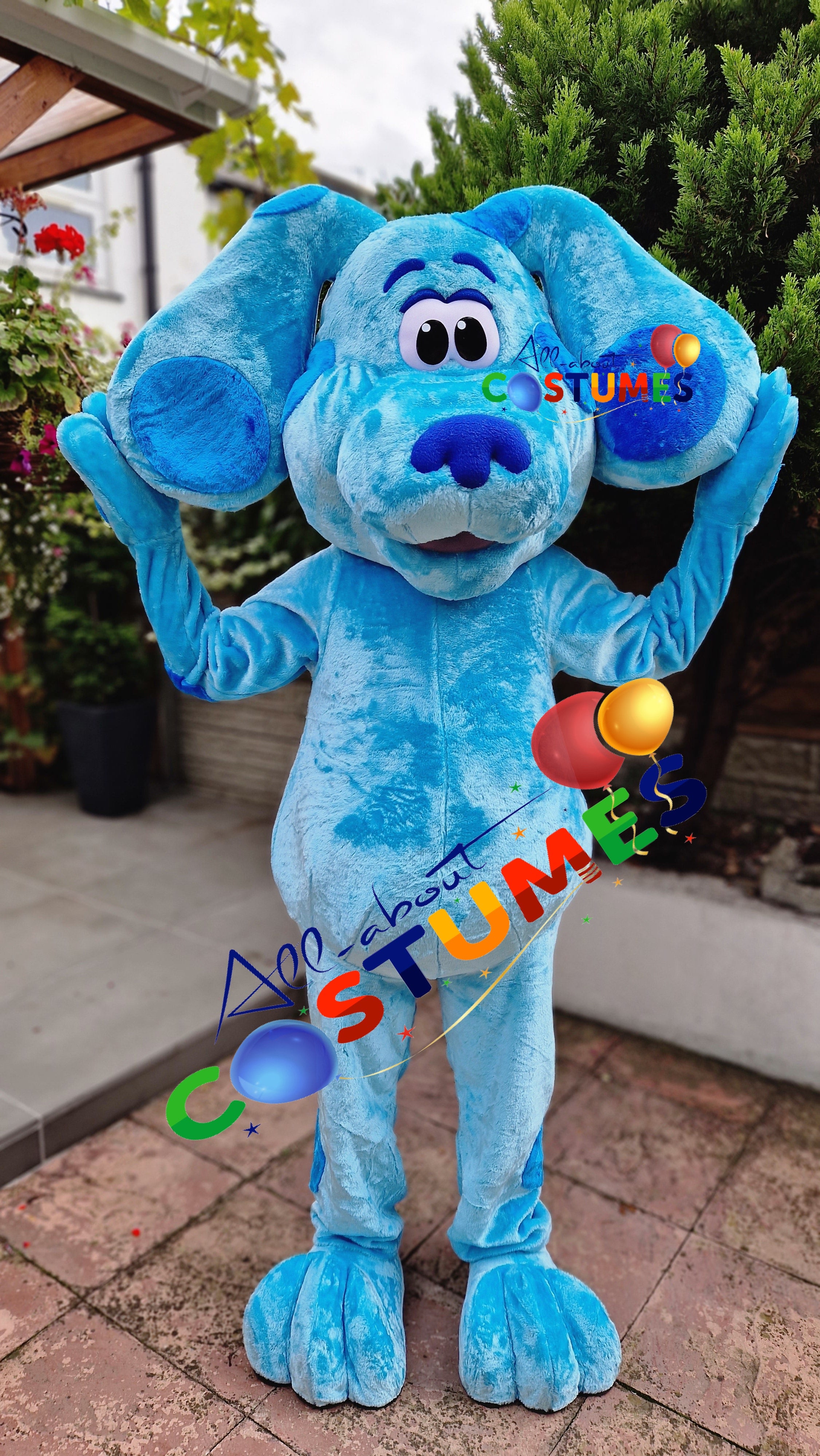 Blue's Clues and You