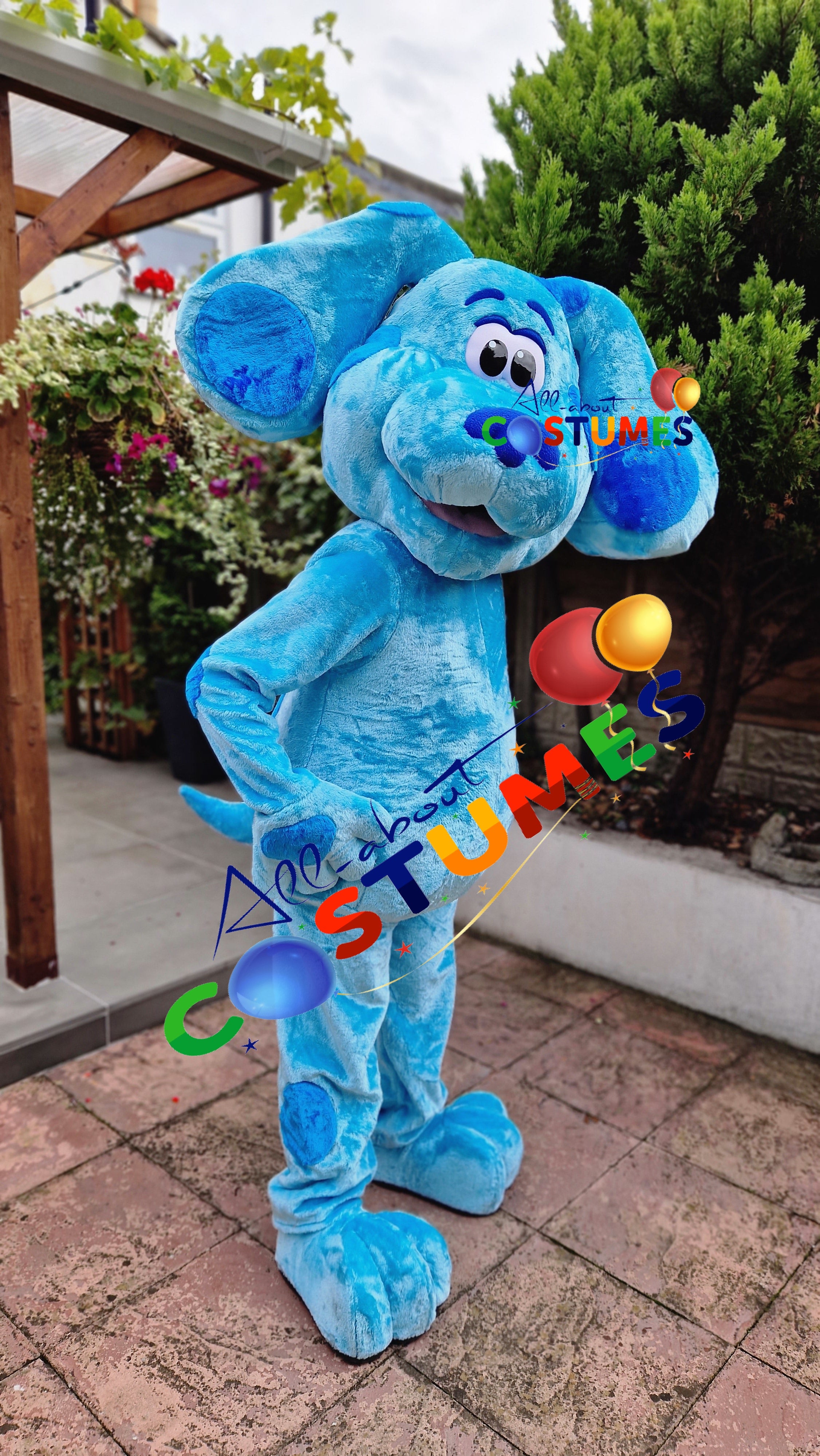 Blue's Clues and You