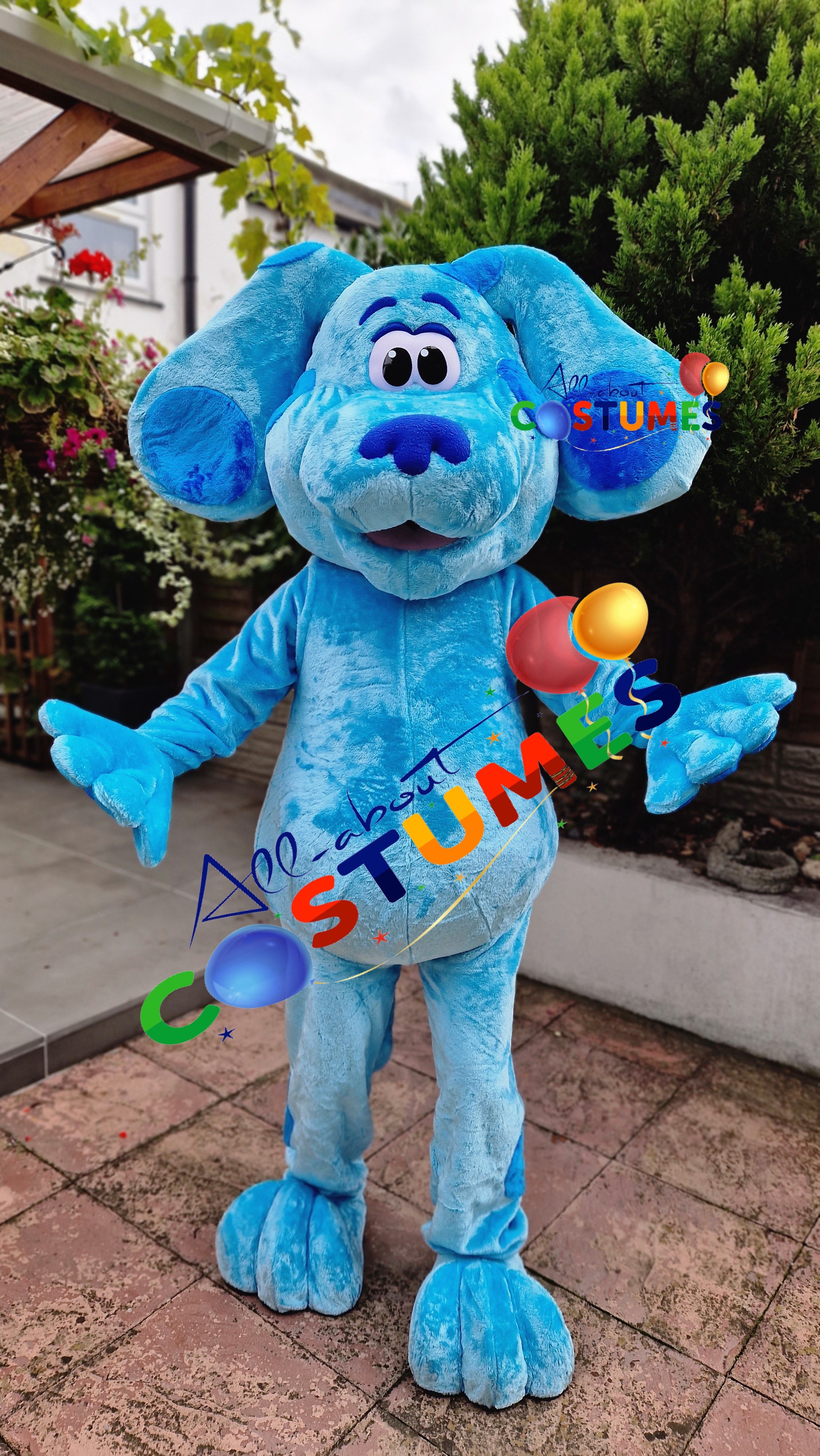 Blue's Clues and You