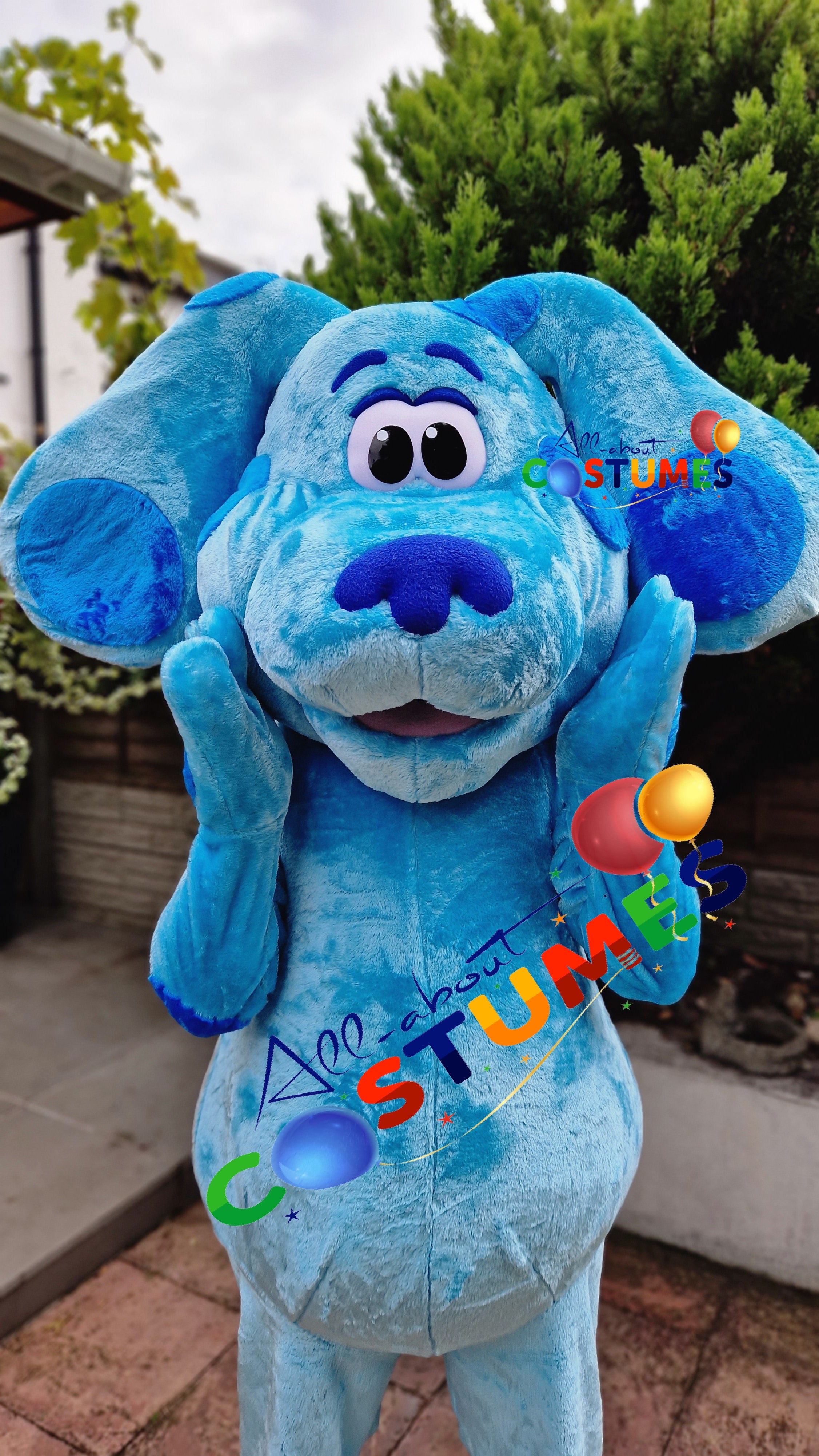 Blue's Clues and You