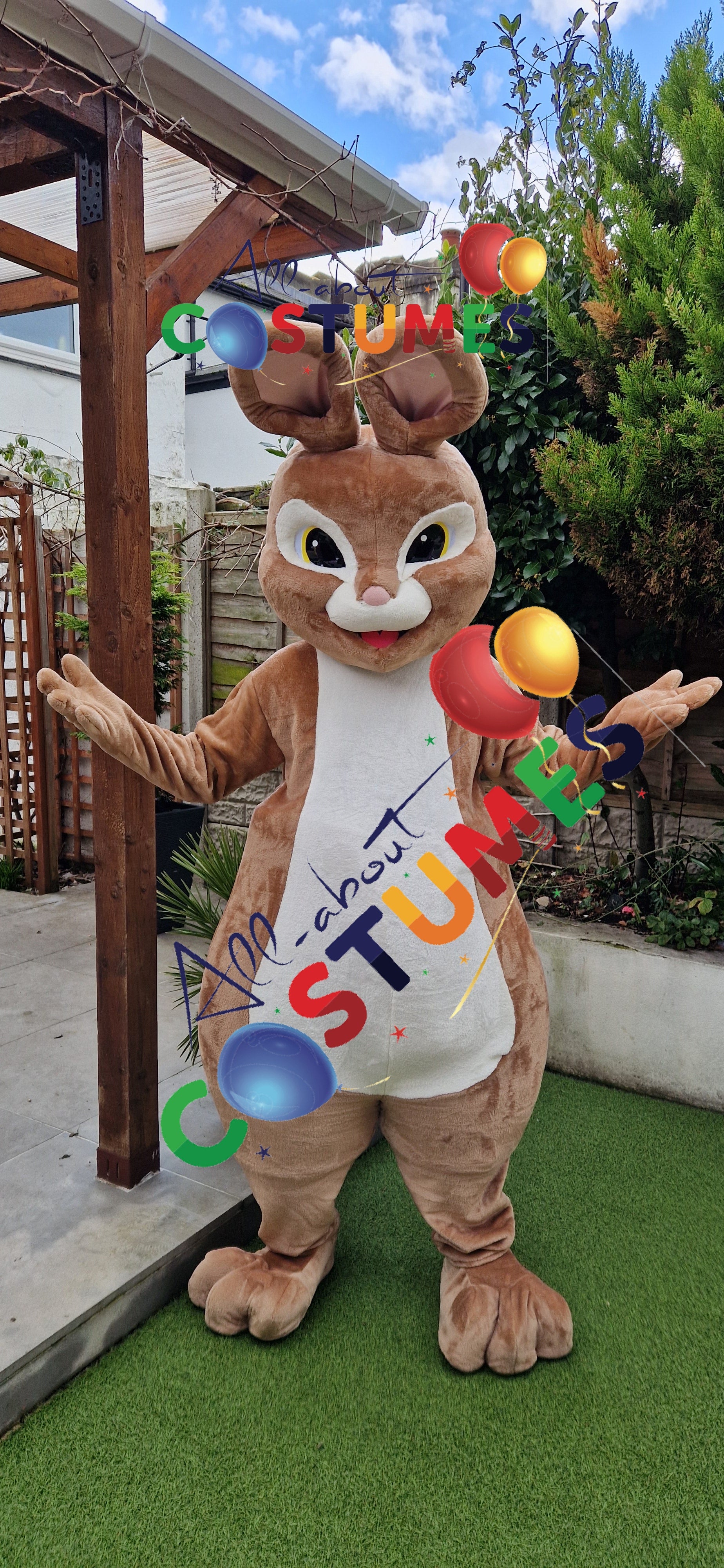 Rabbit