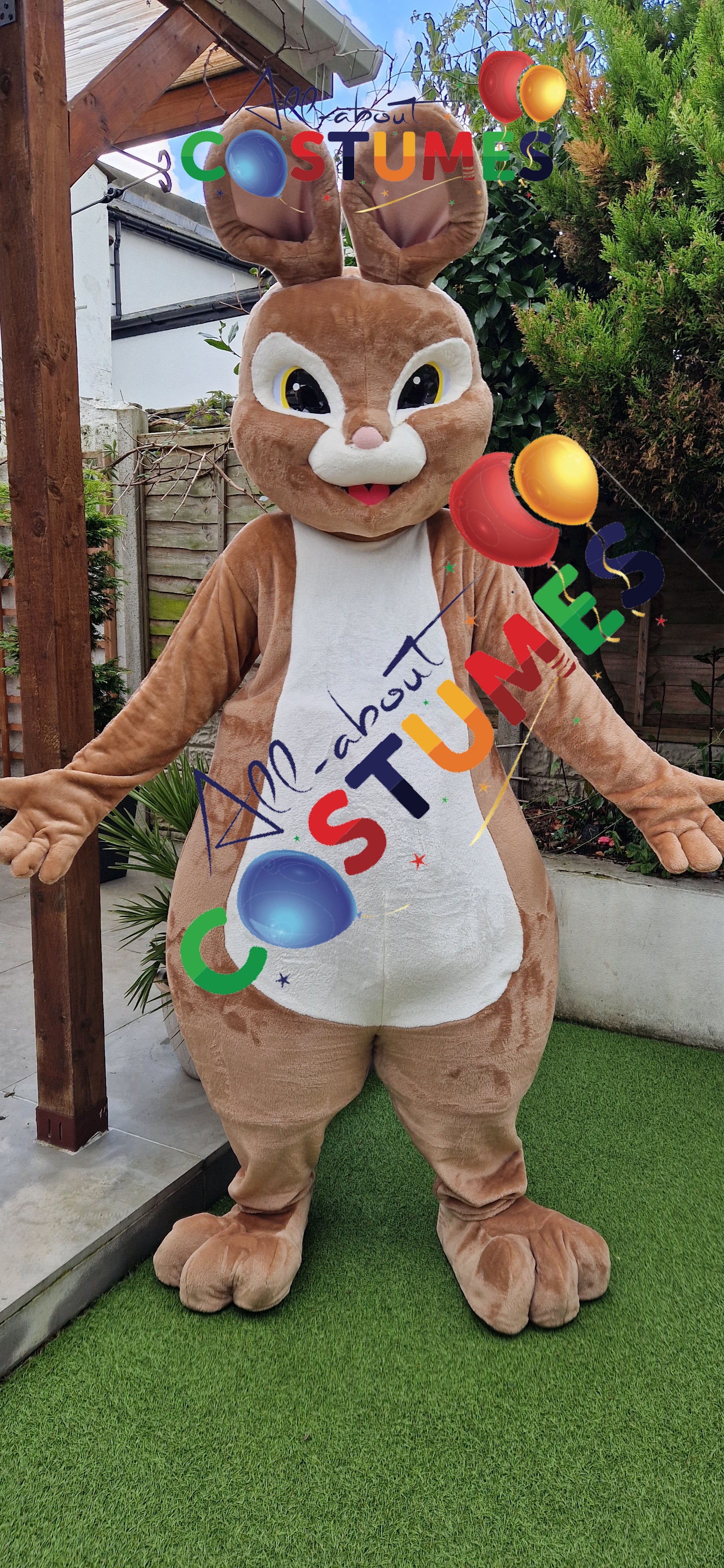 Rabbit