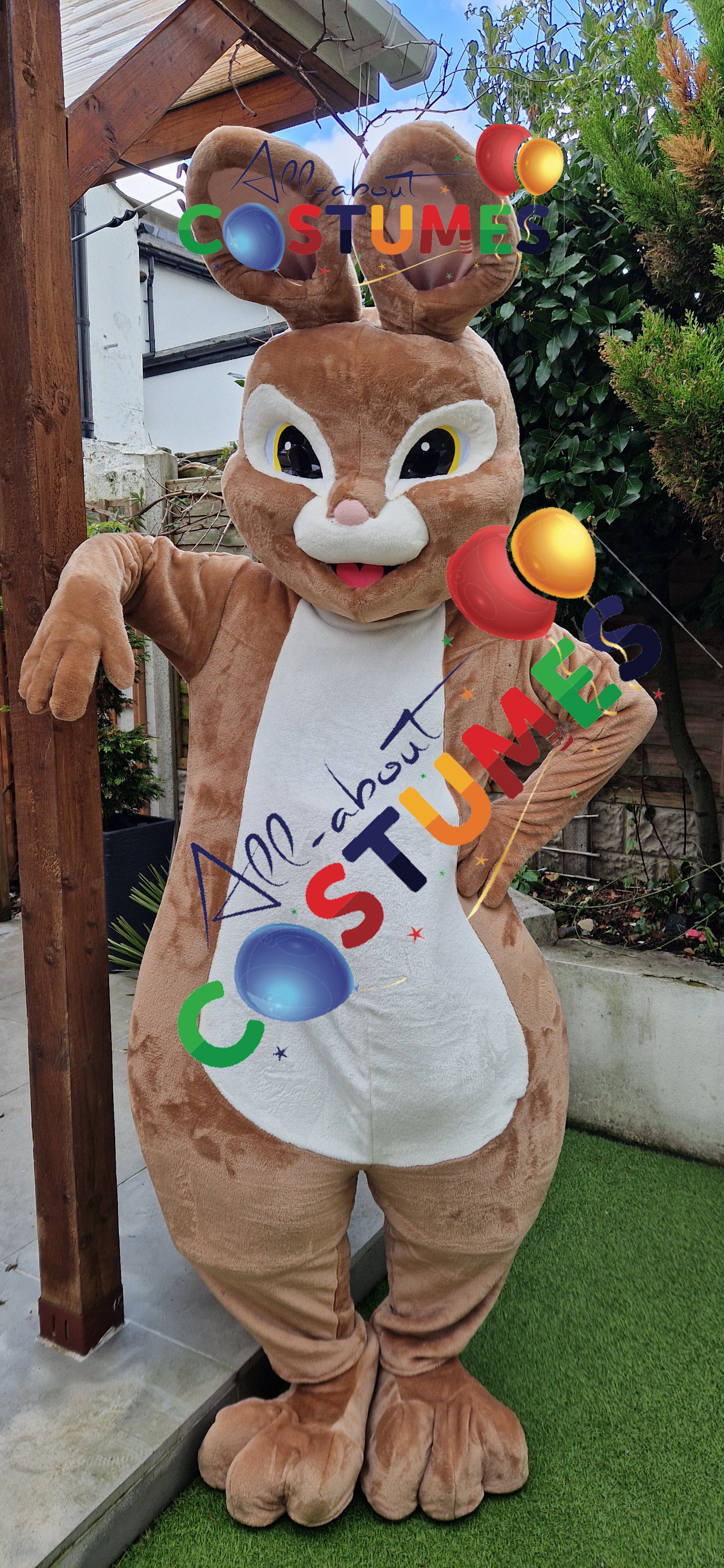 Rabbit