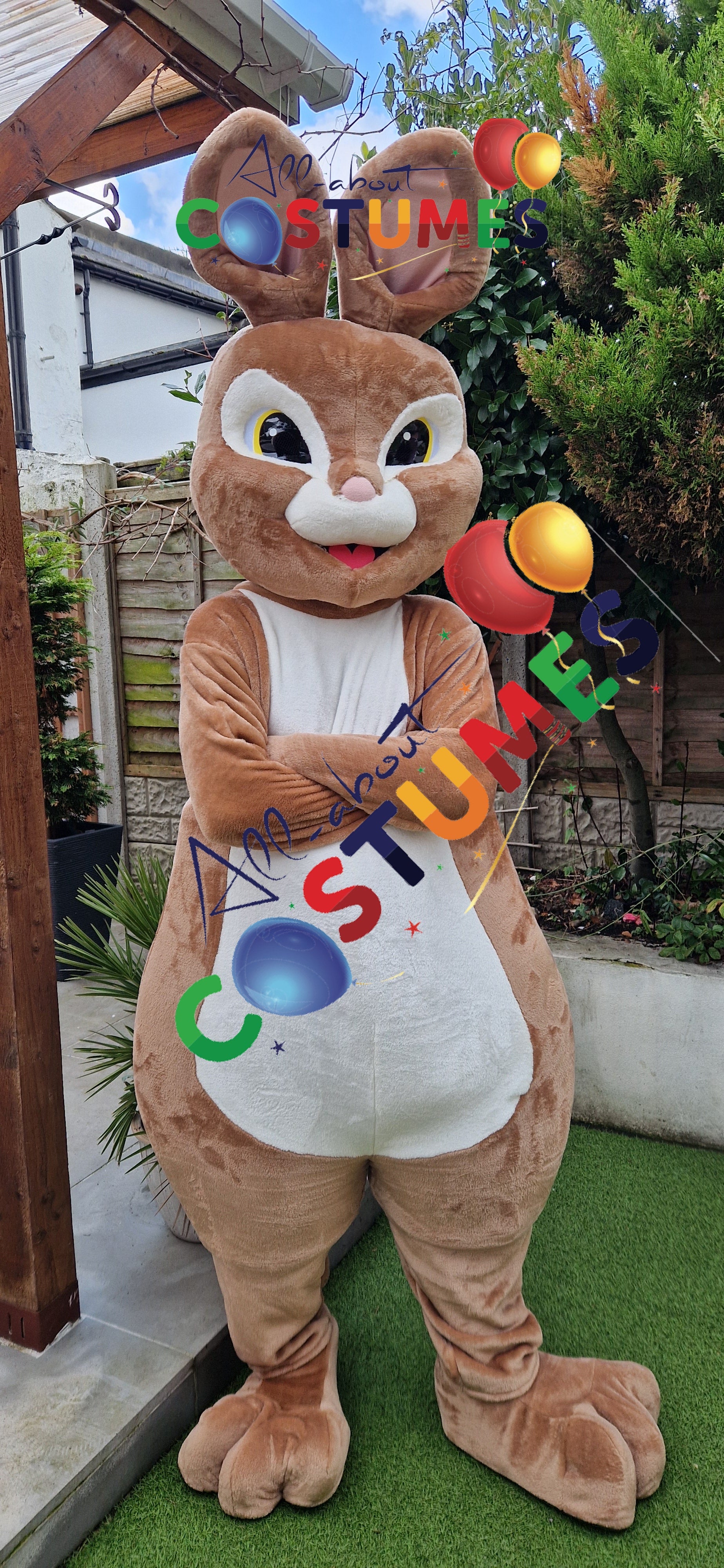 Rabbit