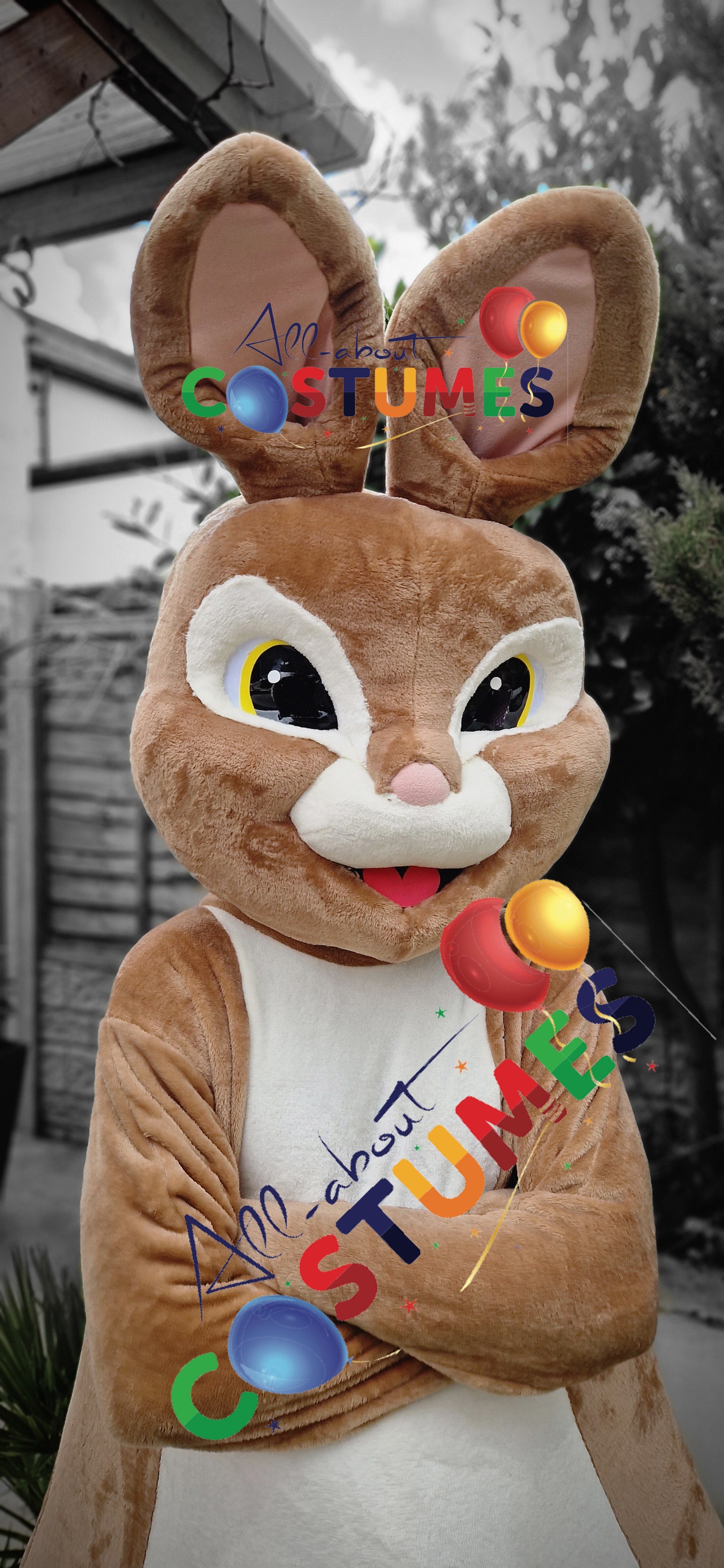 Rabbit