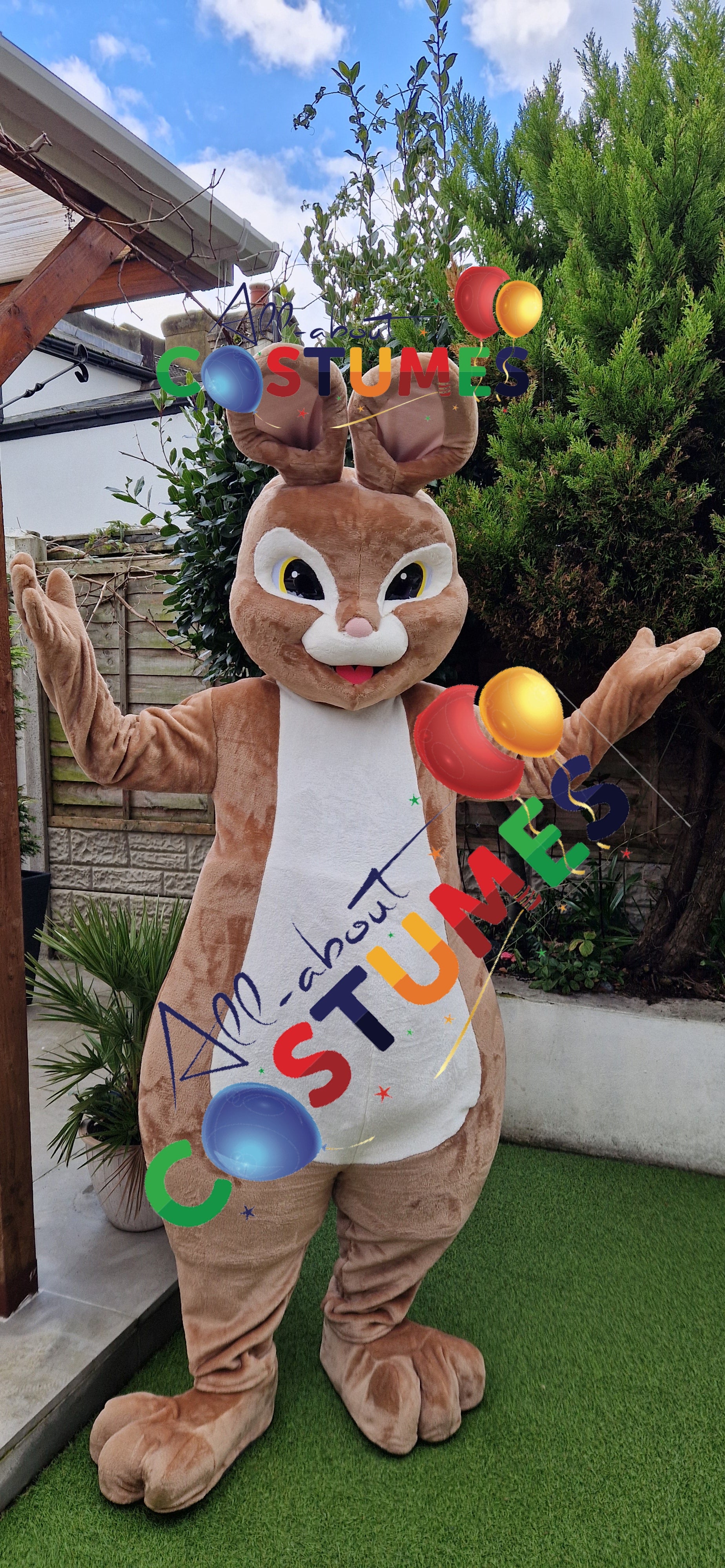 Rabbit