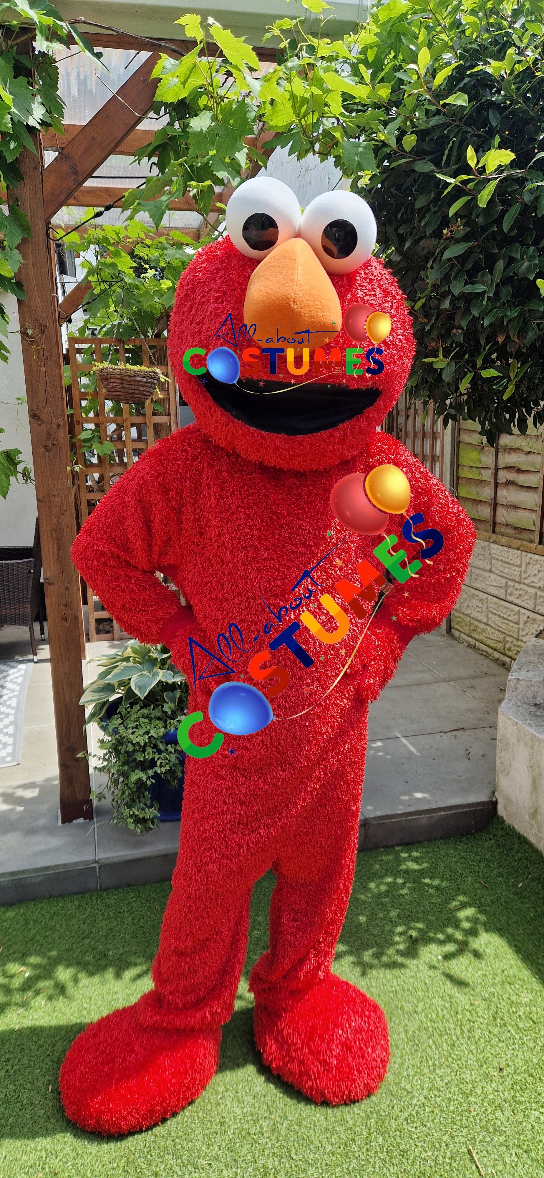 Sesame Street – Elmo or The Cookie Monster
