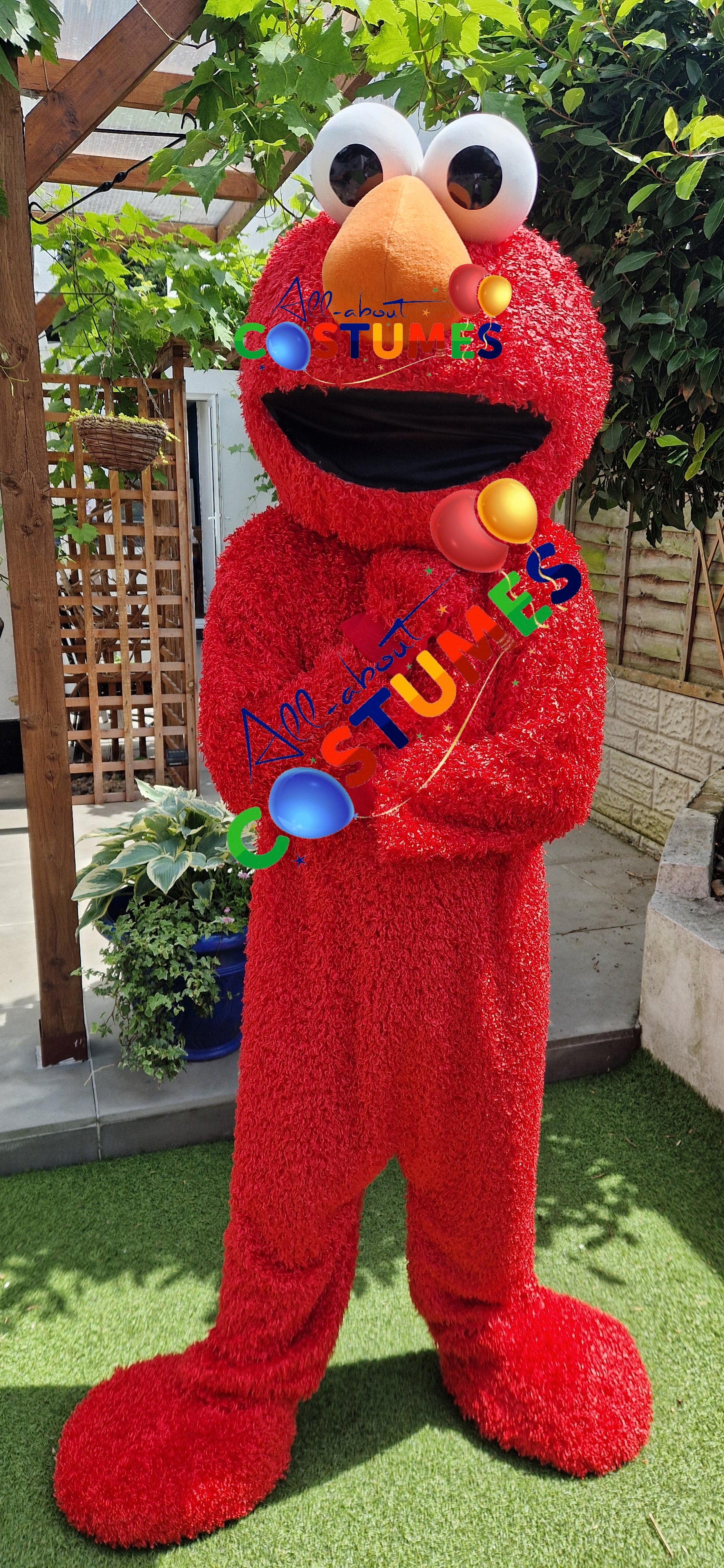 Sesame Street – Elmo or The Cookie Monster