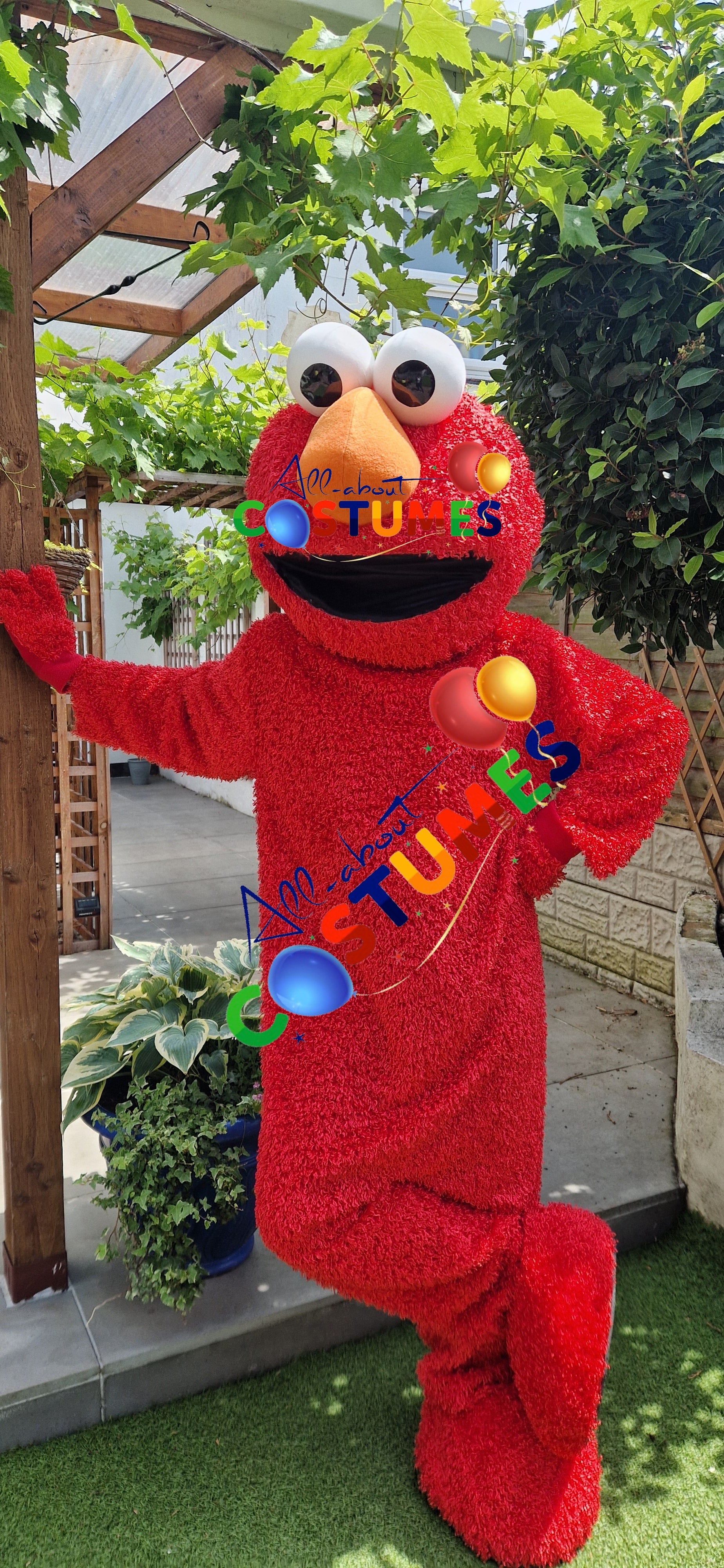 Sesame Street – Elmo or The Cookie Monster