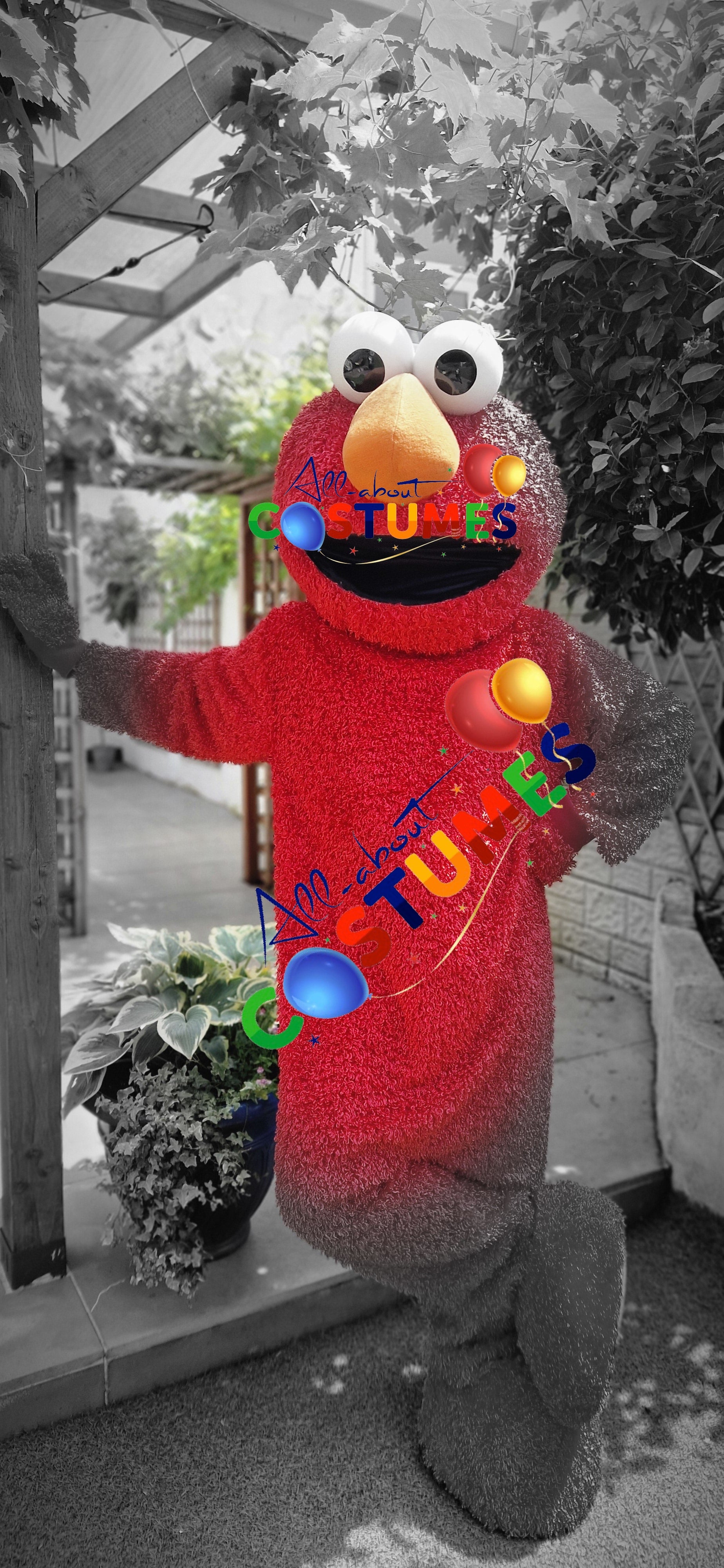 Sesame Street – Elmo or The Cookie Monster
