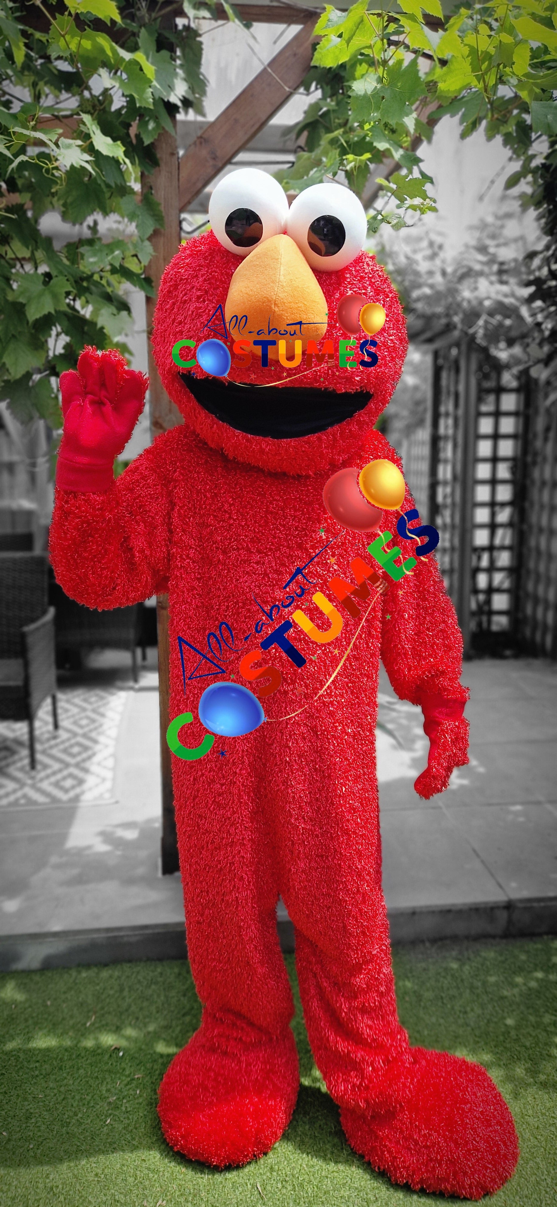 Sesame Street – Elmo or The Cookie Monster