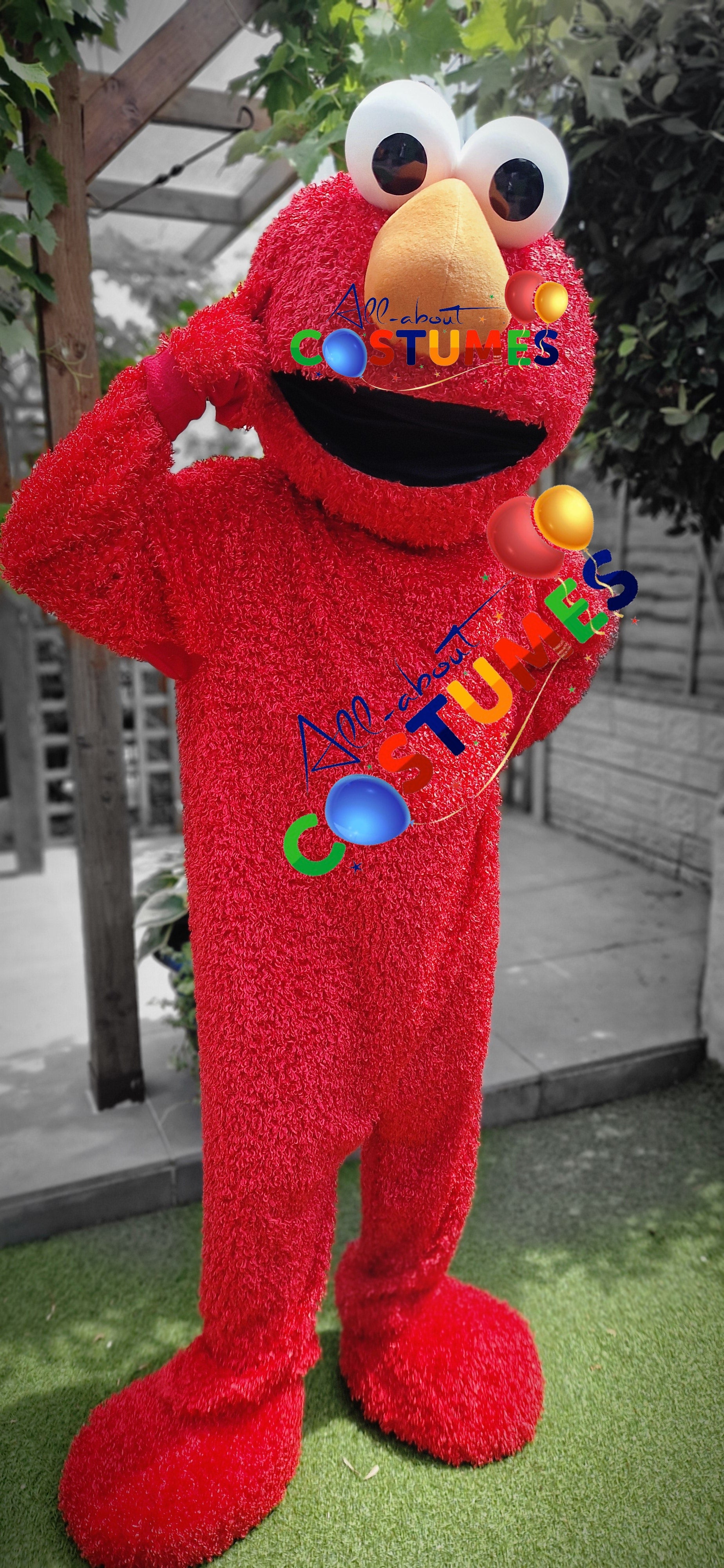 Sesame Street – Elmo or The Cookie Monster