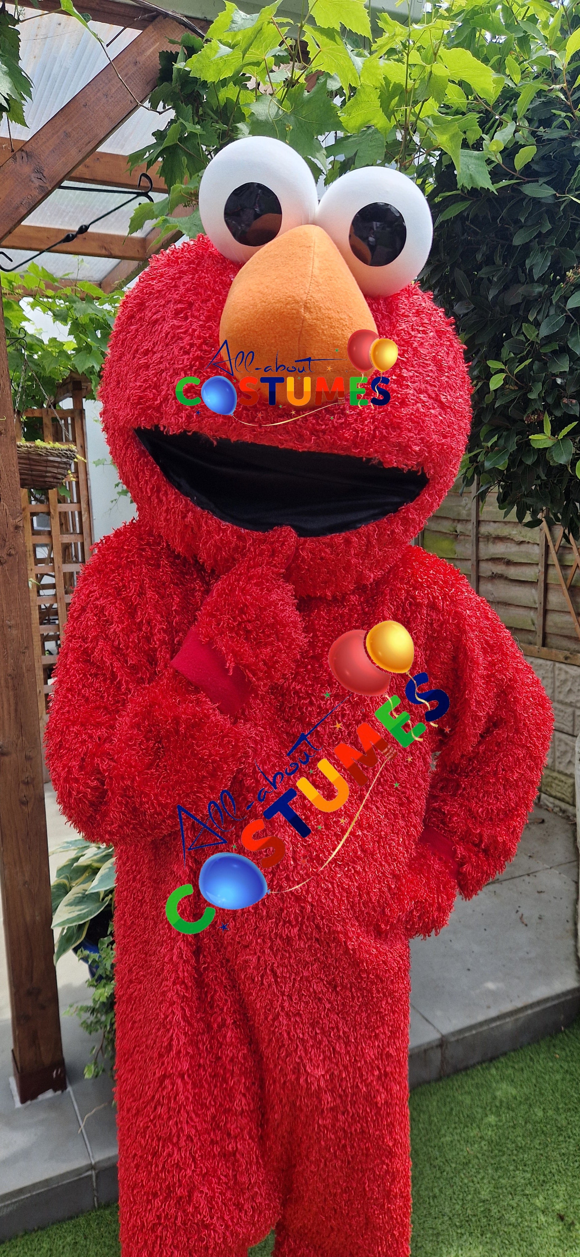 Sesame Street – Elmo or The Cookie Monster