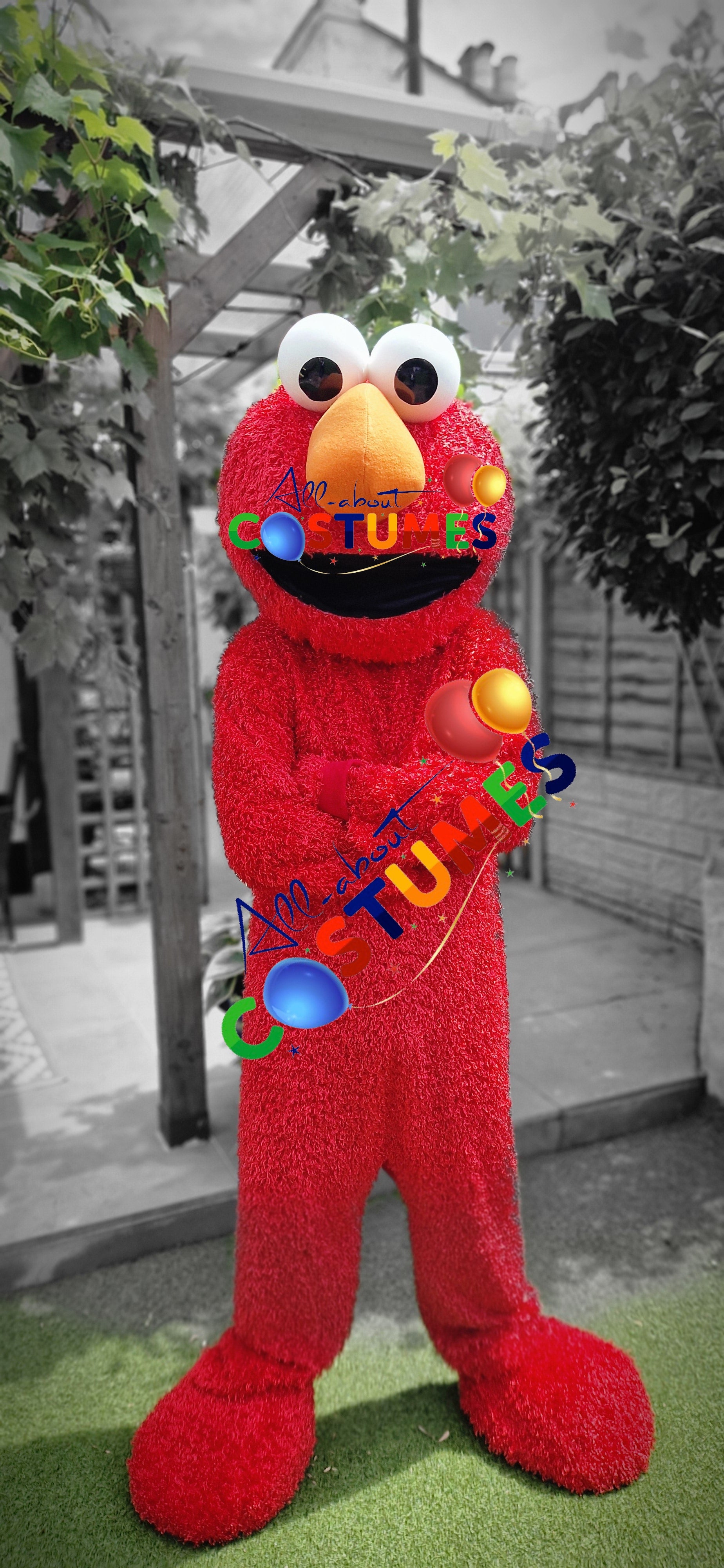 Sesame Street – Elmo or The Cookie Monster