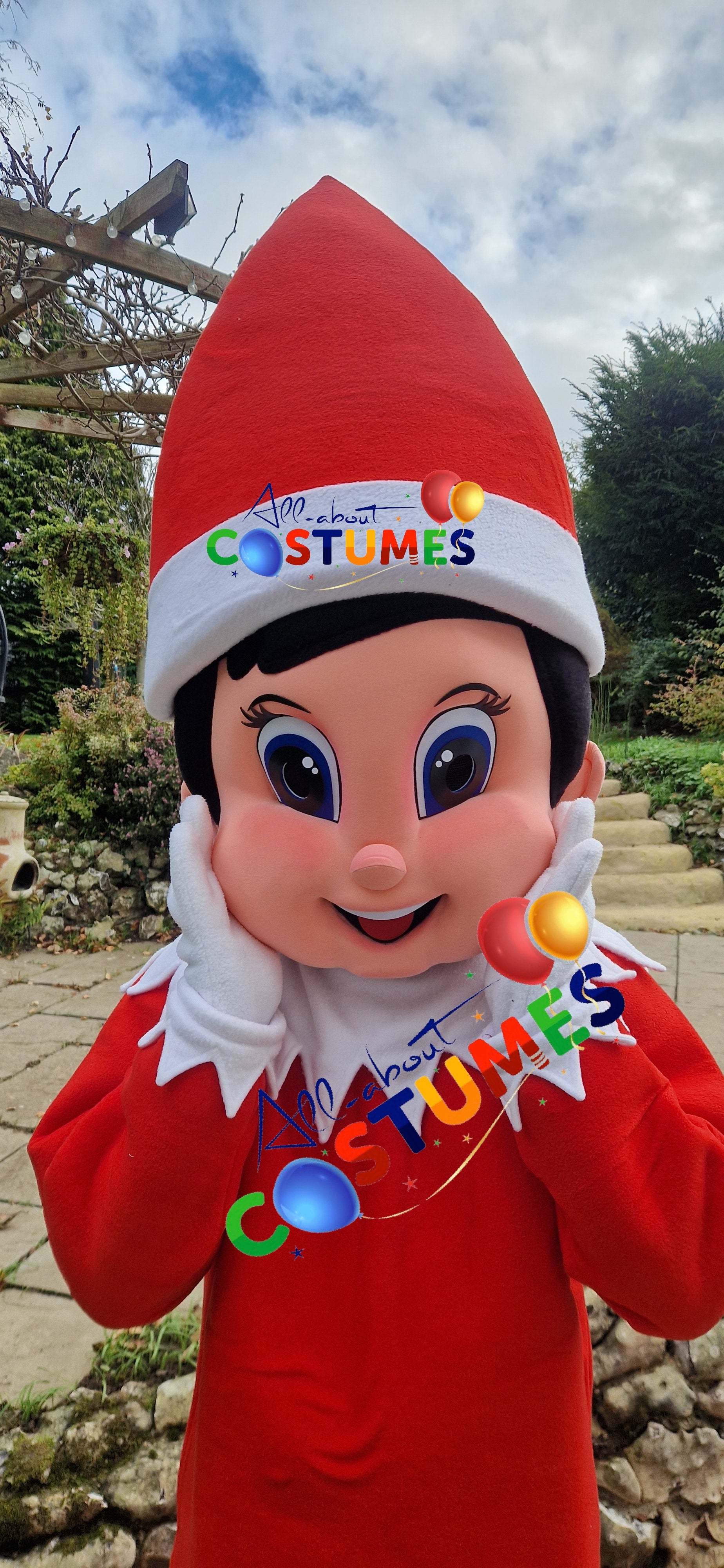 Z Elf en el estante Navidad