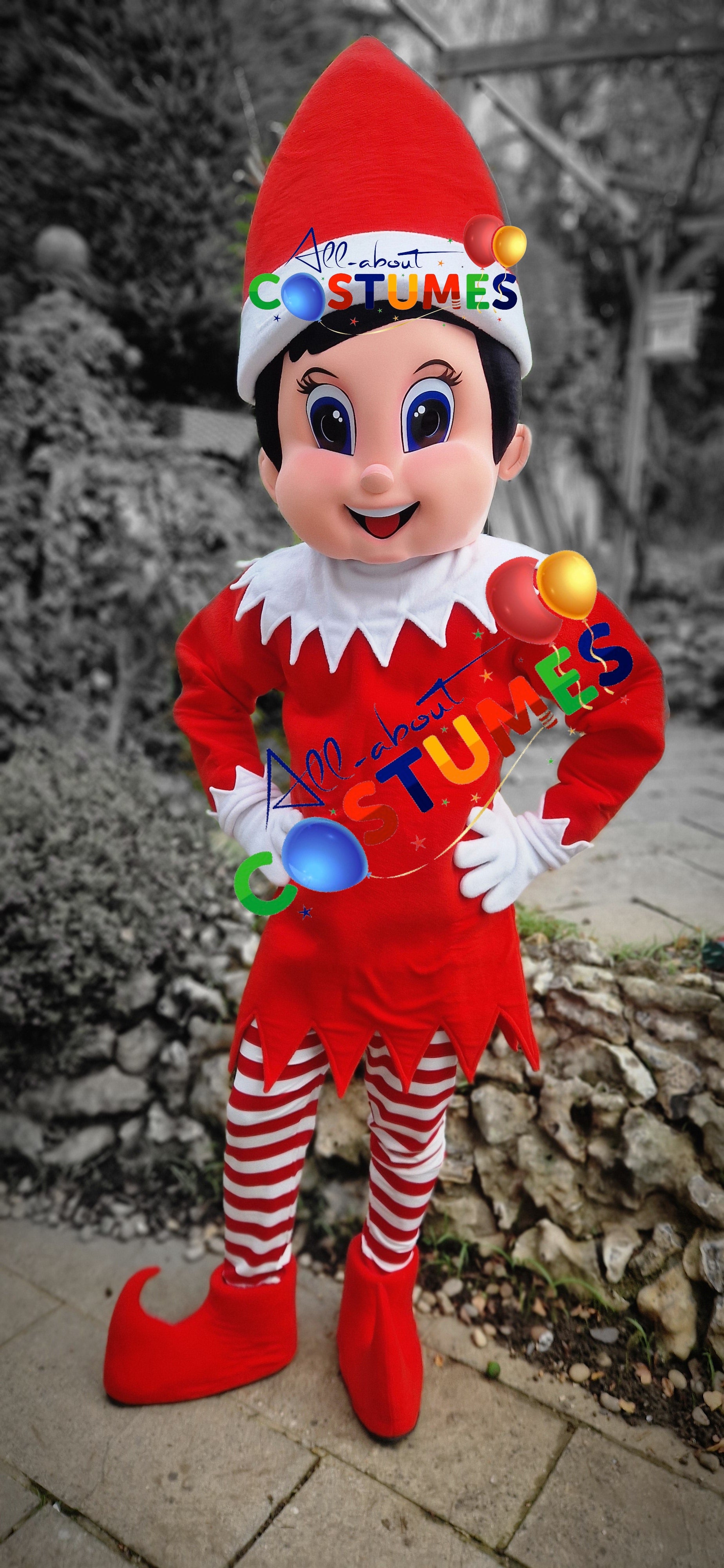 Z Elf en el estante Navidad