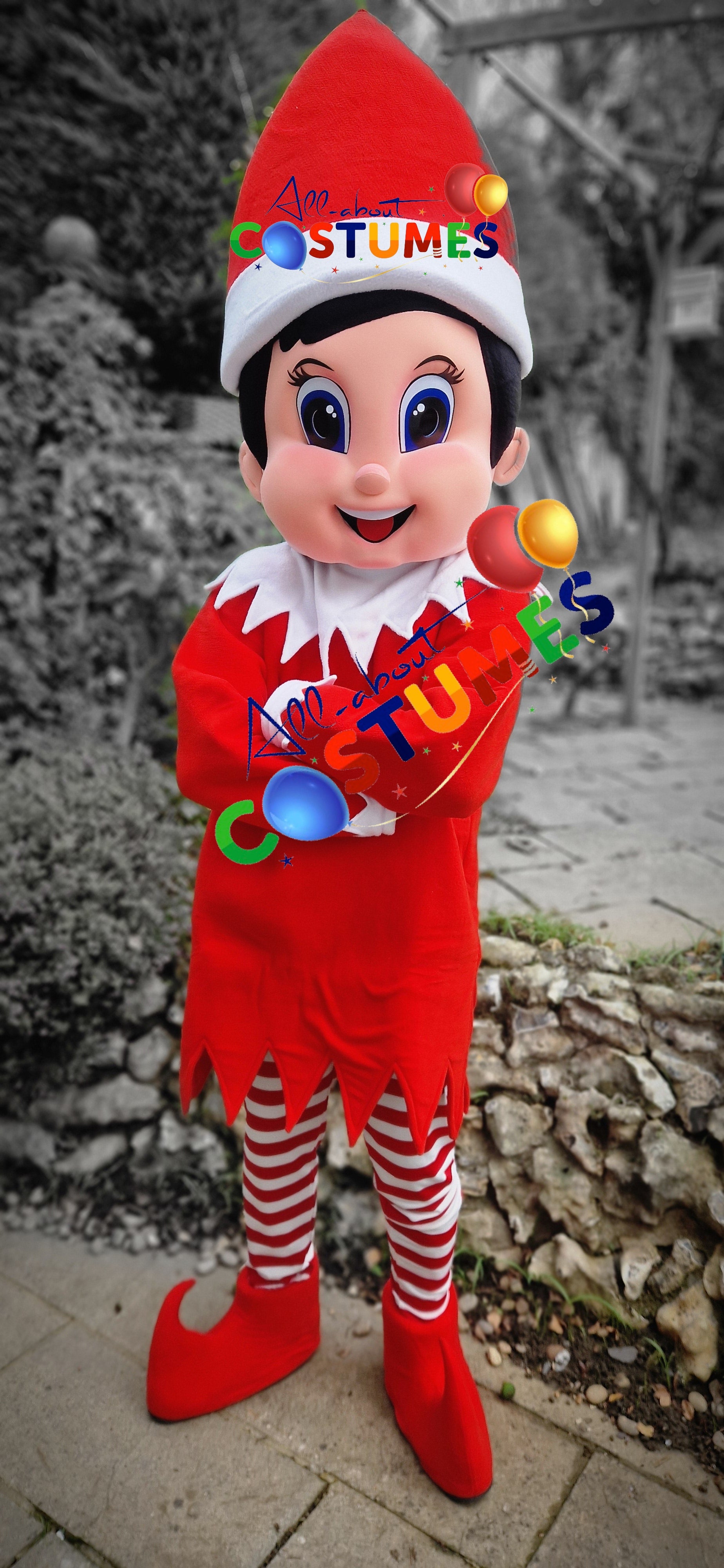 Z Elf en el estante Navidad