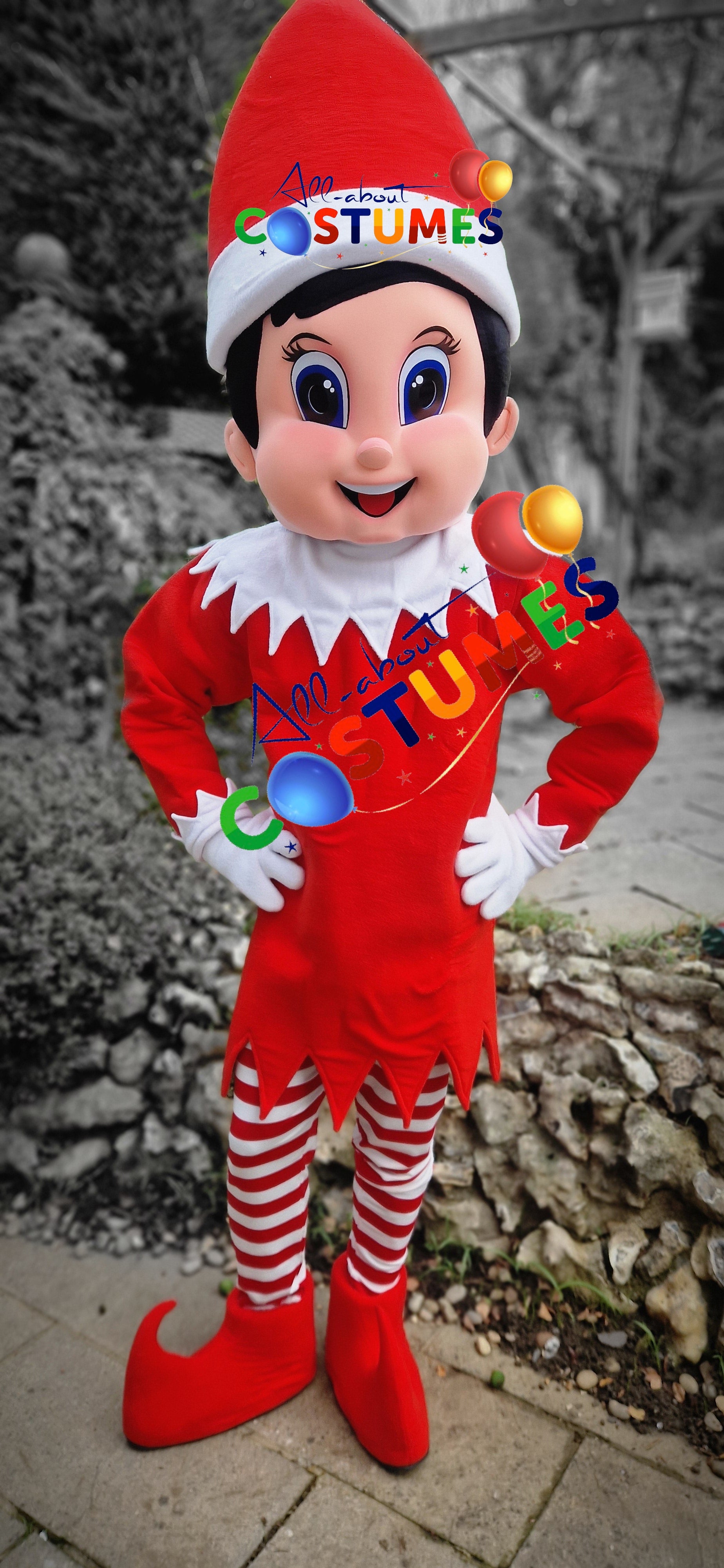 Z Elf en el estante Navidad