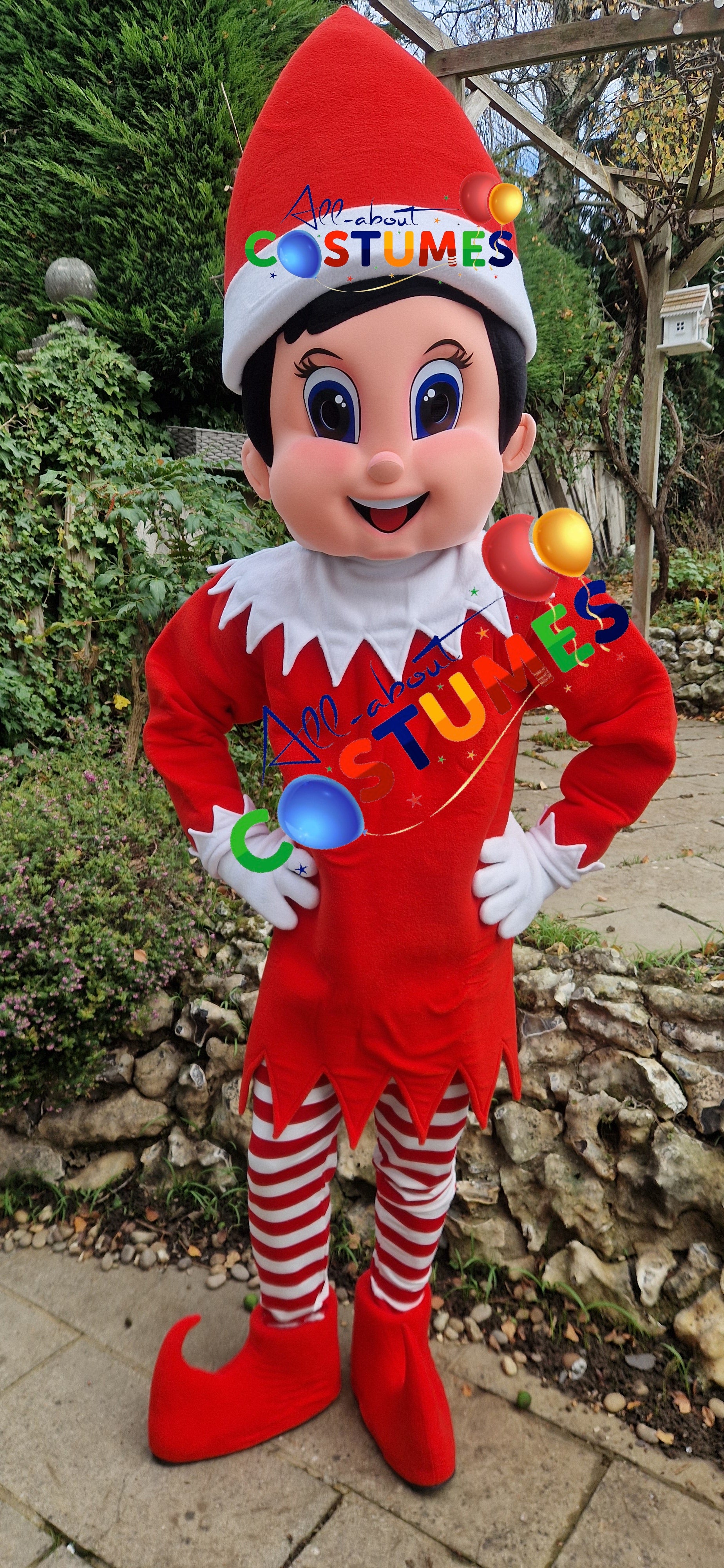 Z Elf en el estante Navidad