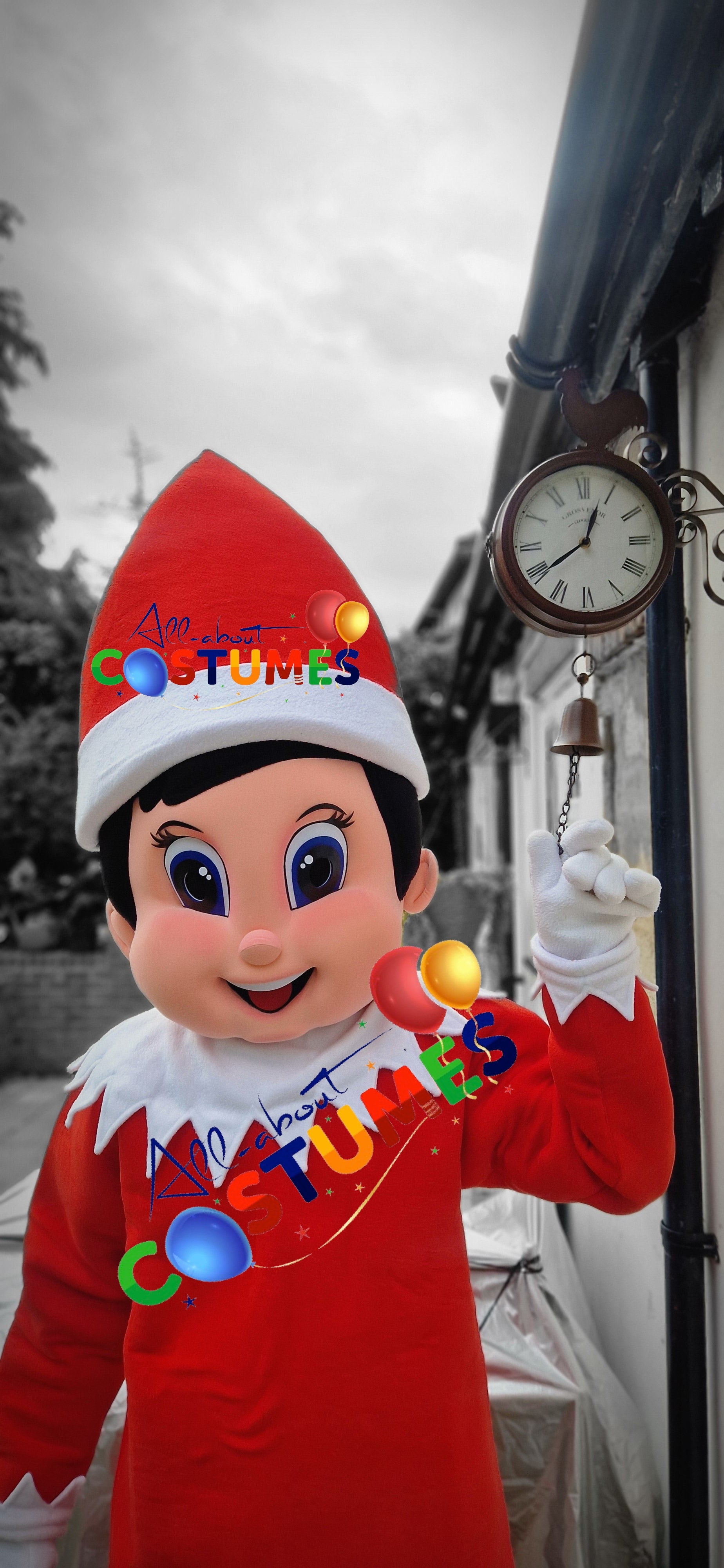 Z Elf en el estante Navidad