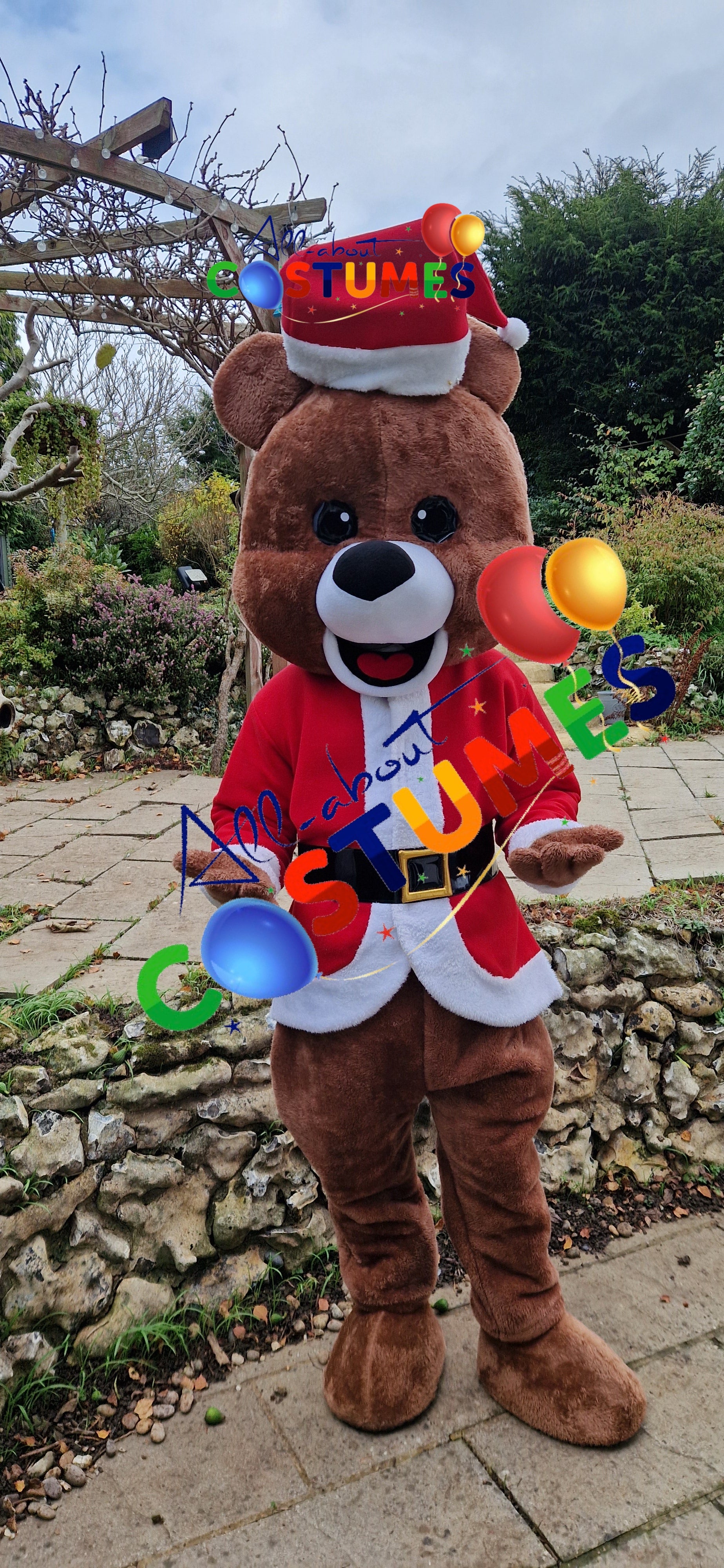 Z Elf en el estante Navidad