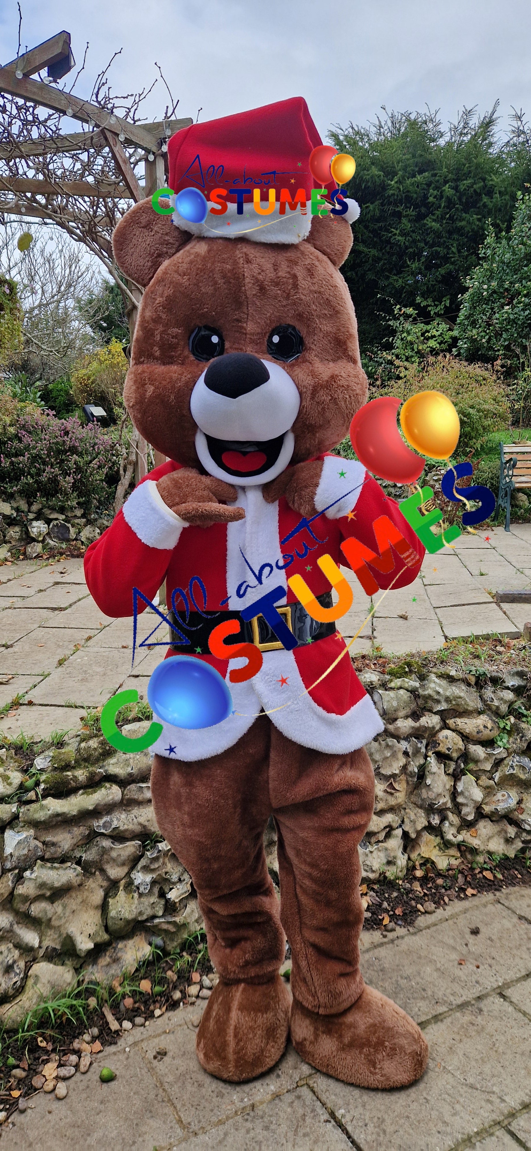 Z Elf en el estante Navidad