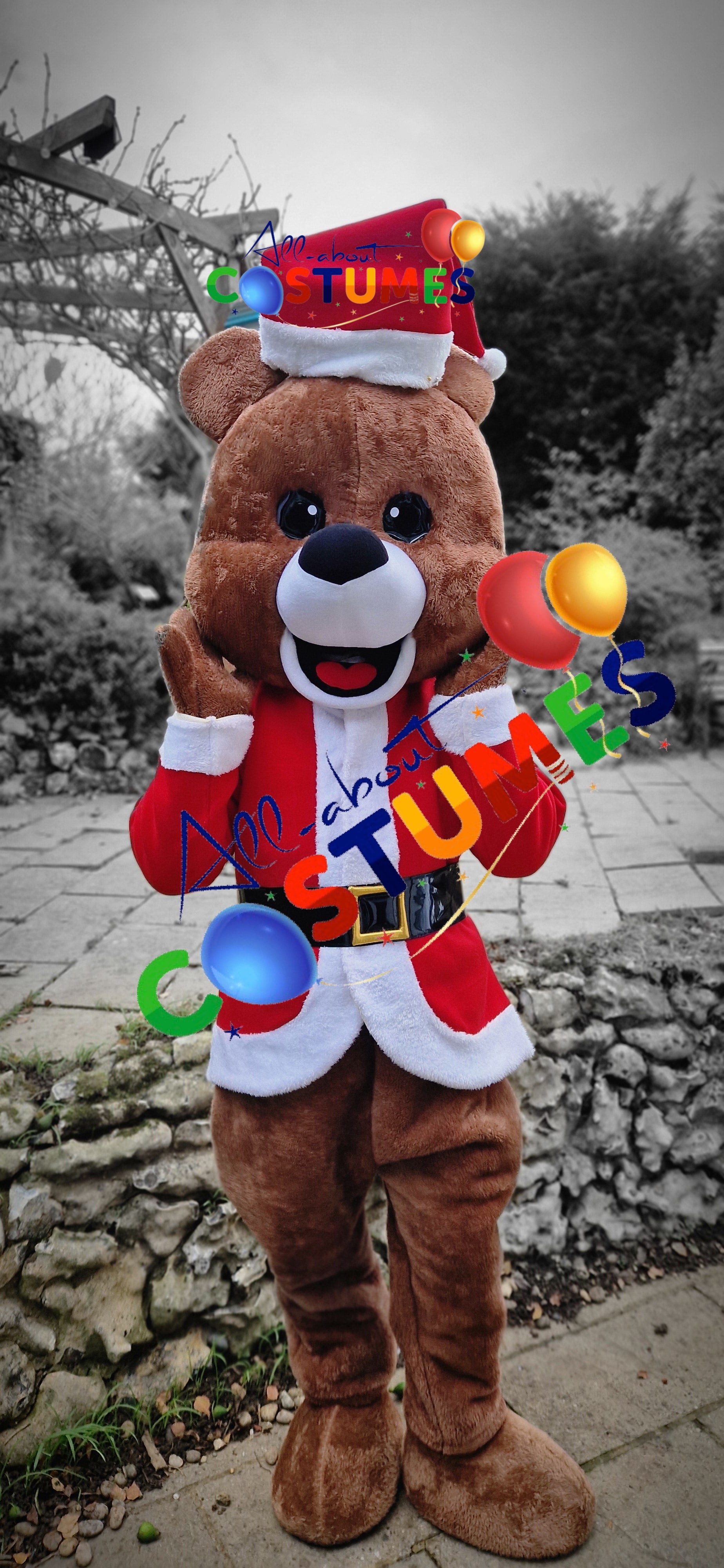 Z Elf en el estante Navidad