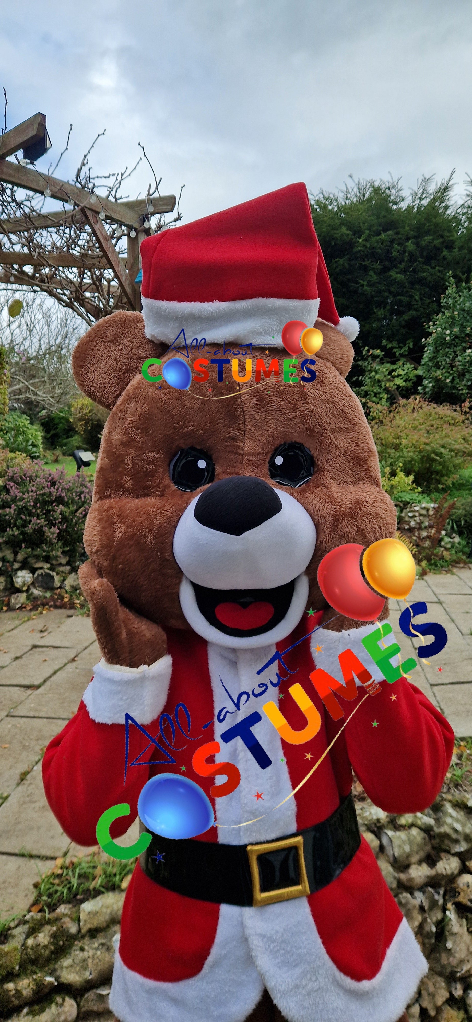 Z Elf en el estante Navidad