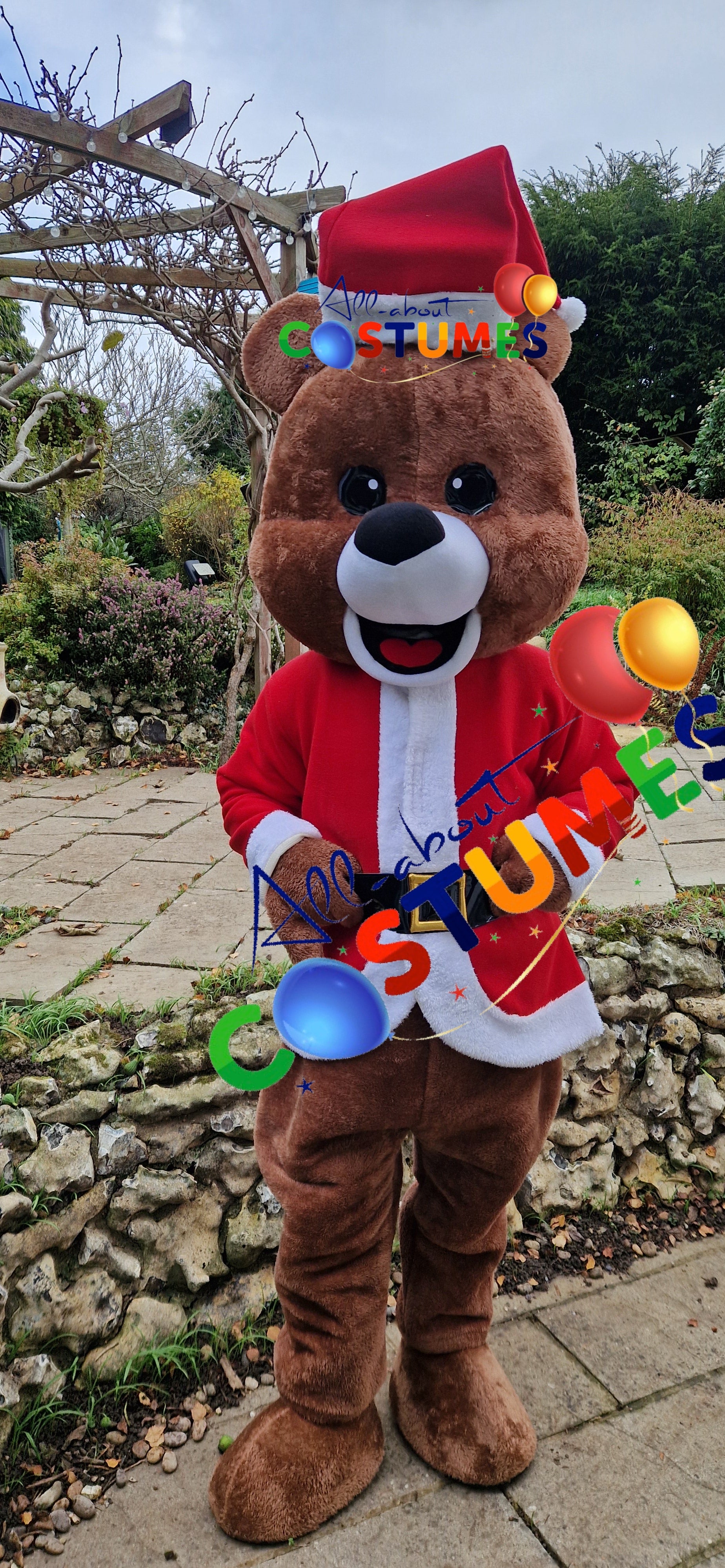 Z Elf en el estante Navidad